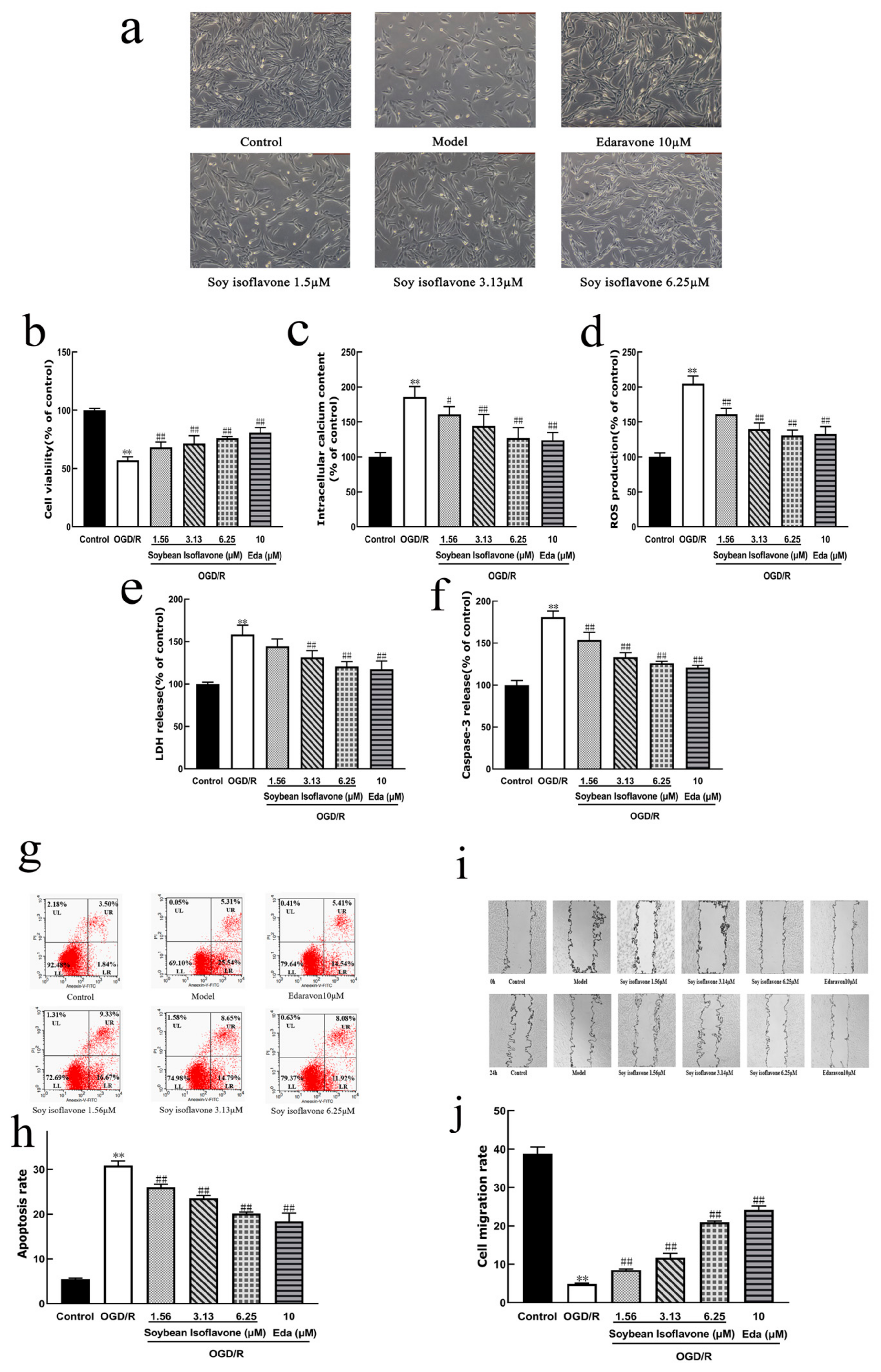 Pharmaceuticals 18 00548 g005