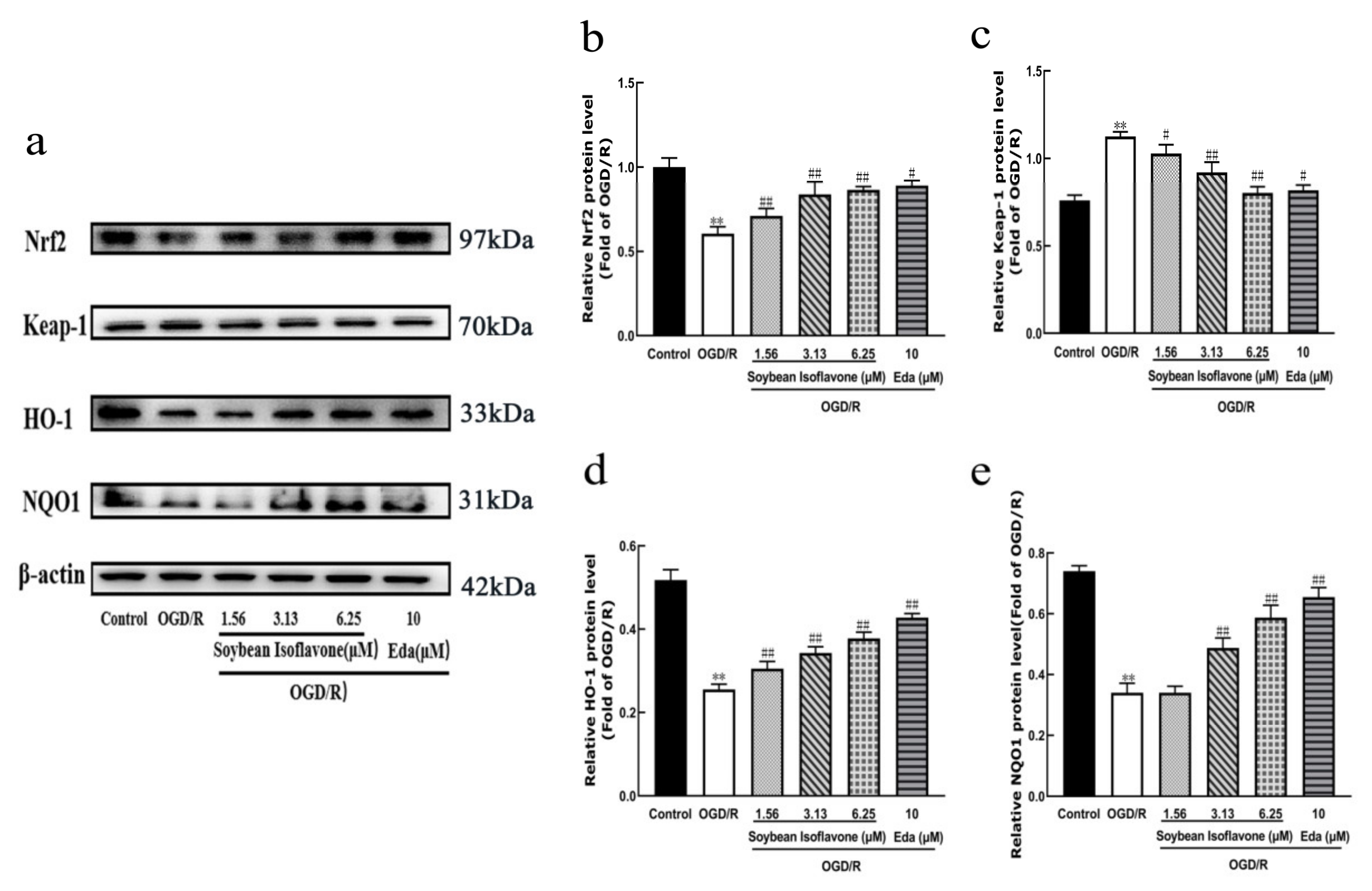 Pharmaceuticals 18 00548 g006
