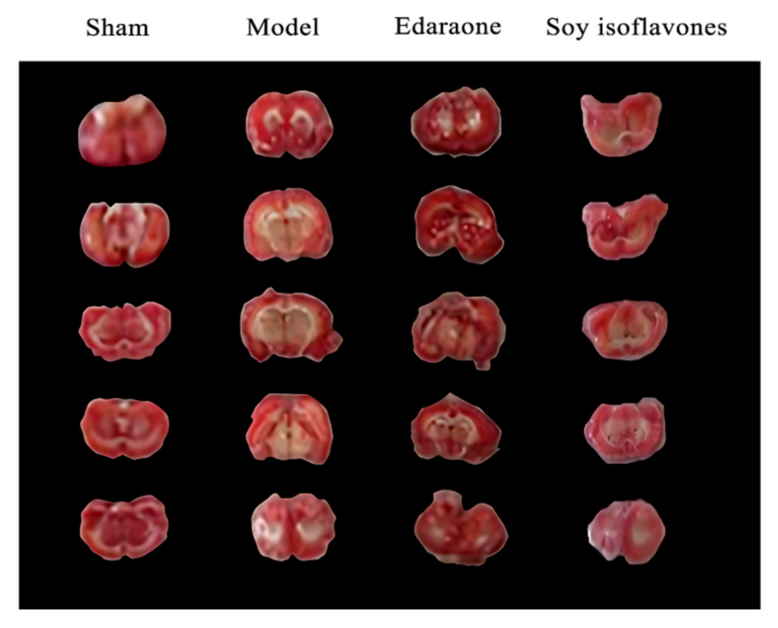 Pharmaceuticals 18 00548 g007