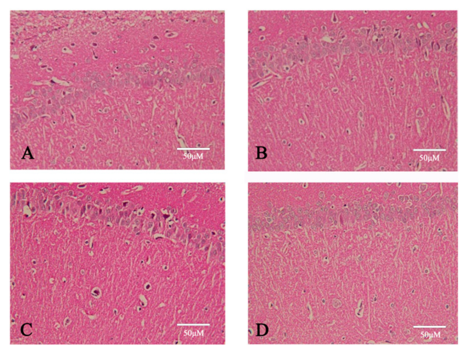 Pharmaceuticals 18 00548 g008