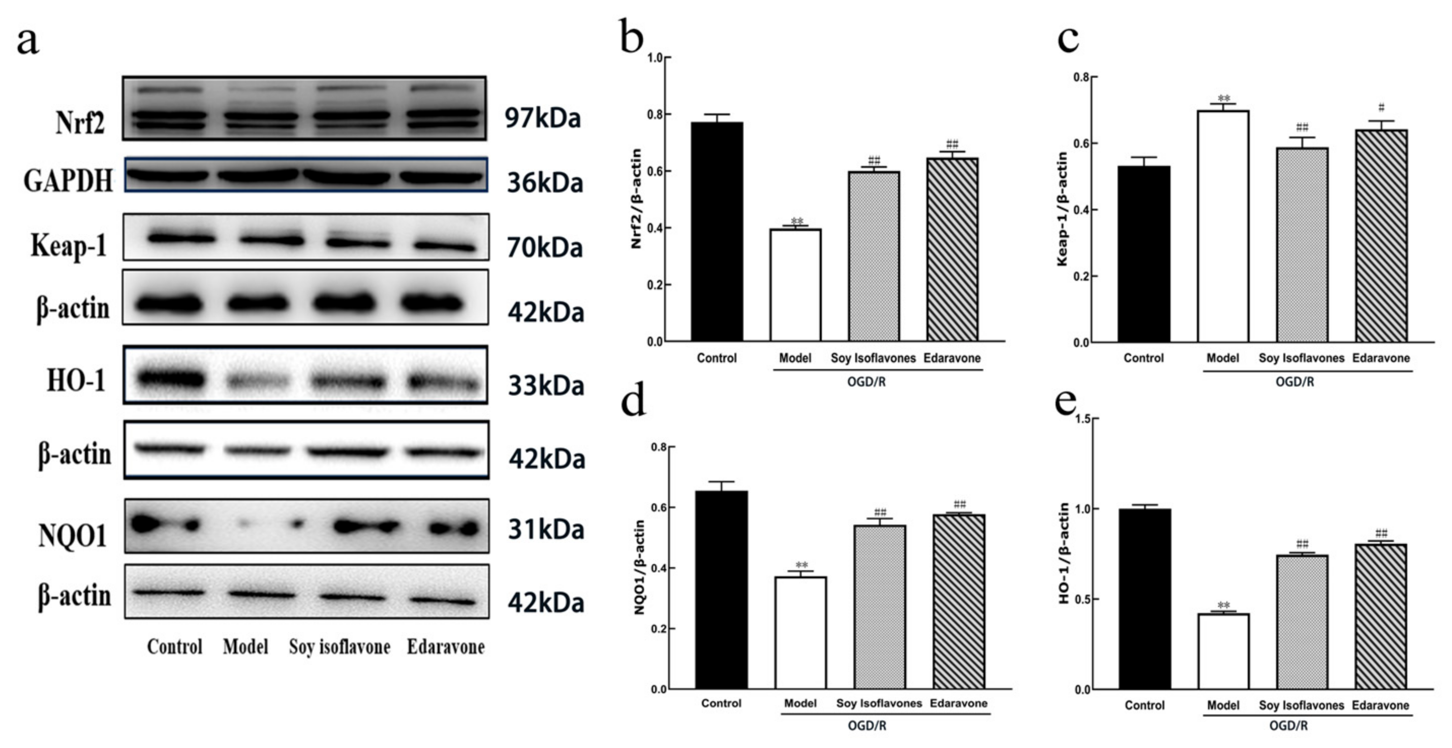 Pharmaceuticals 18 00548 g009