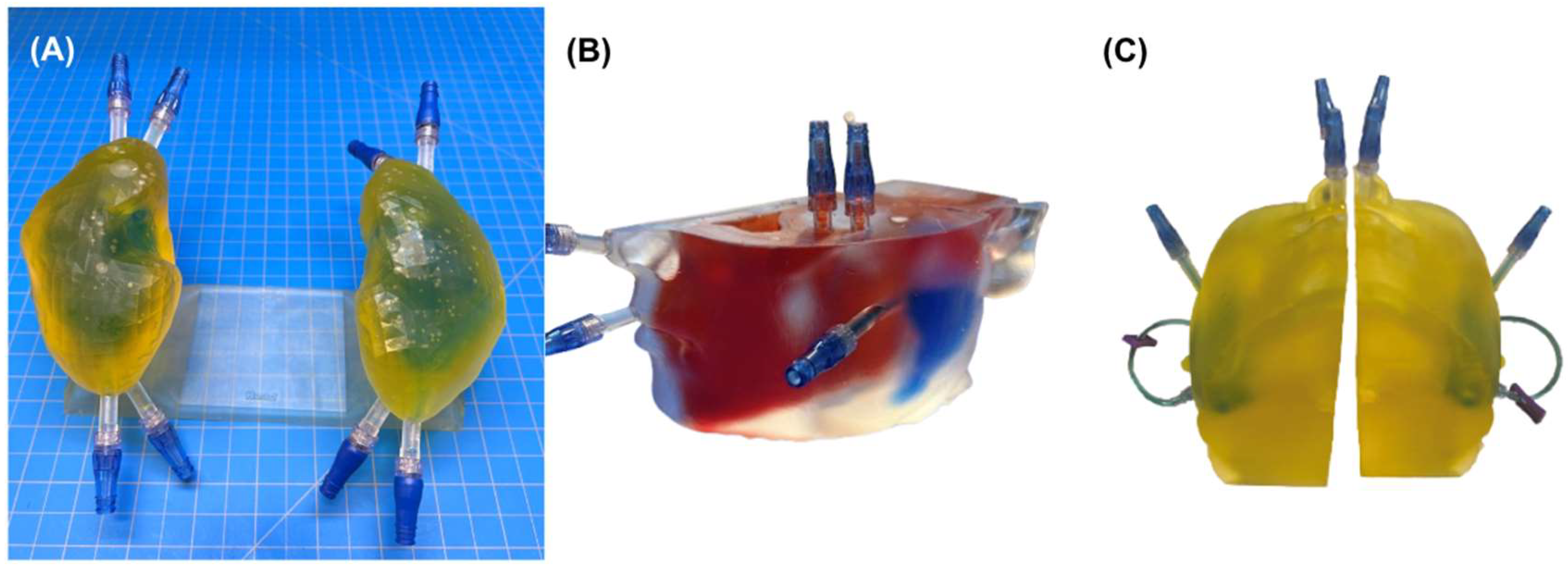 Pharmaceuticals 18 00550 g001