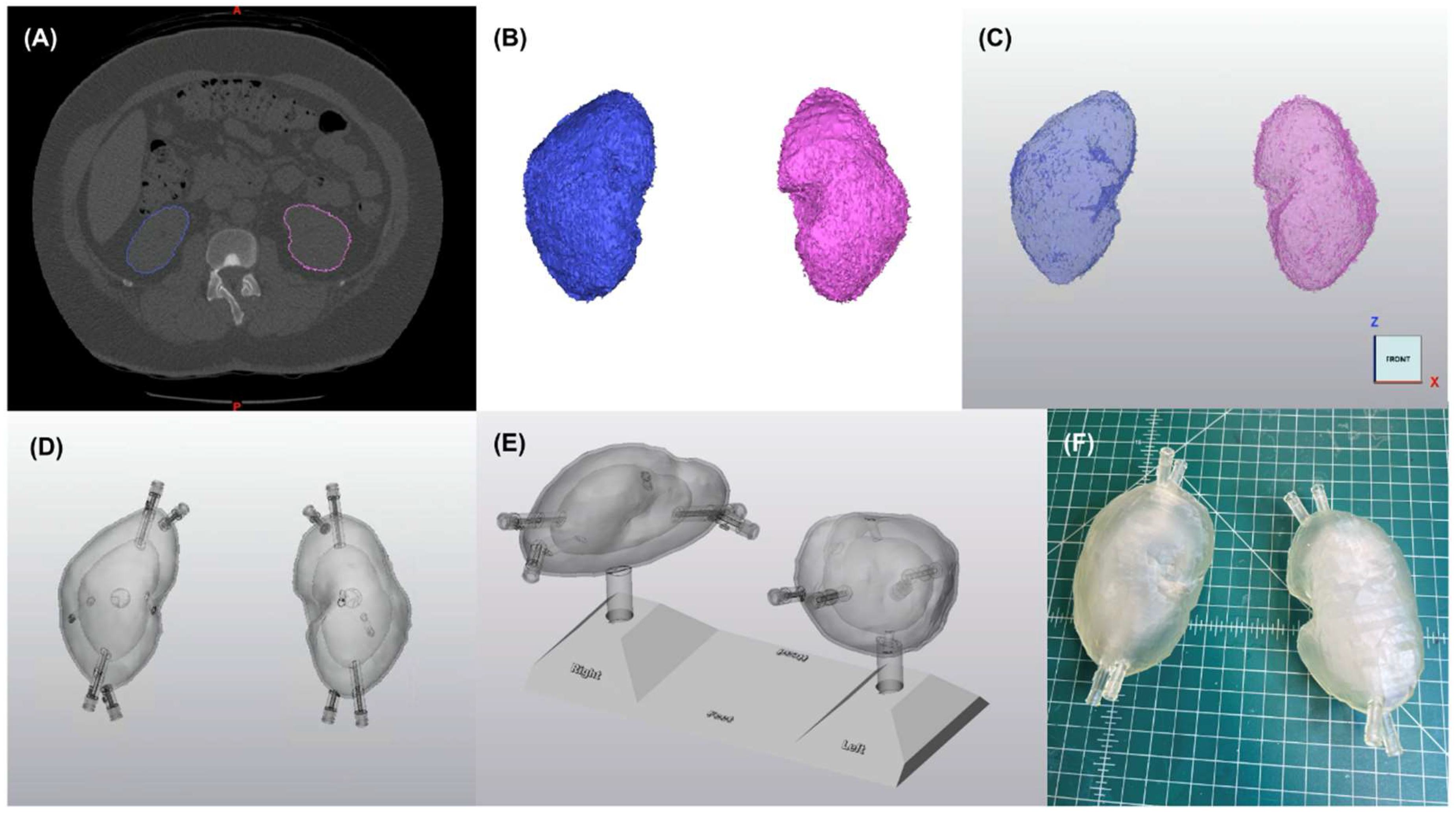Pharmaceuticals 18 00550 g004