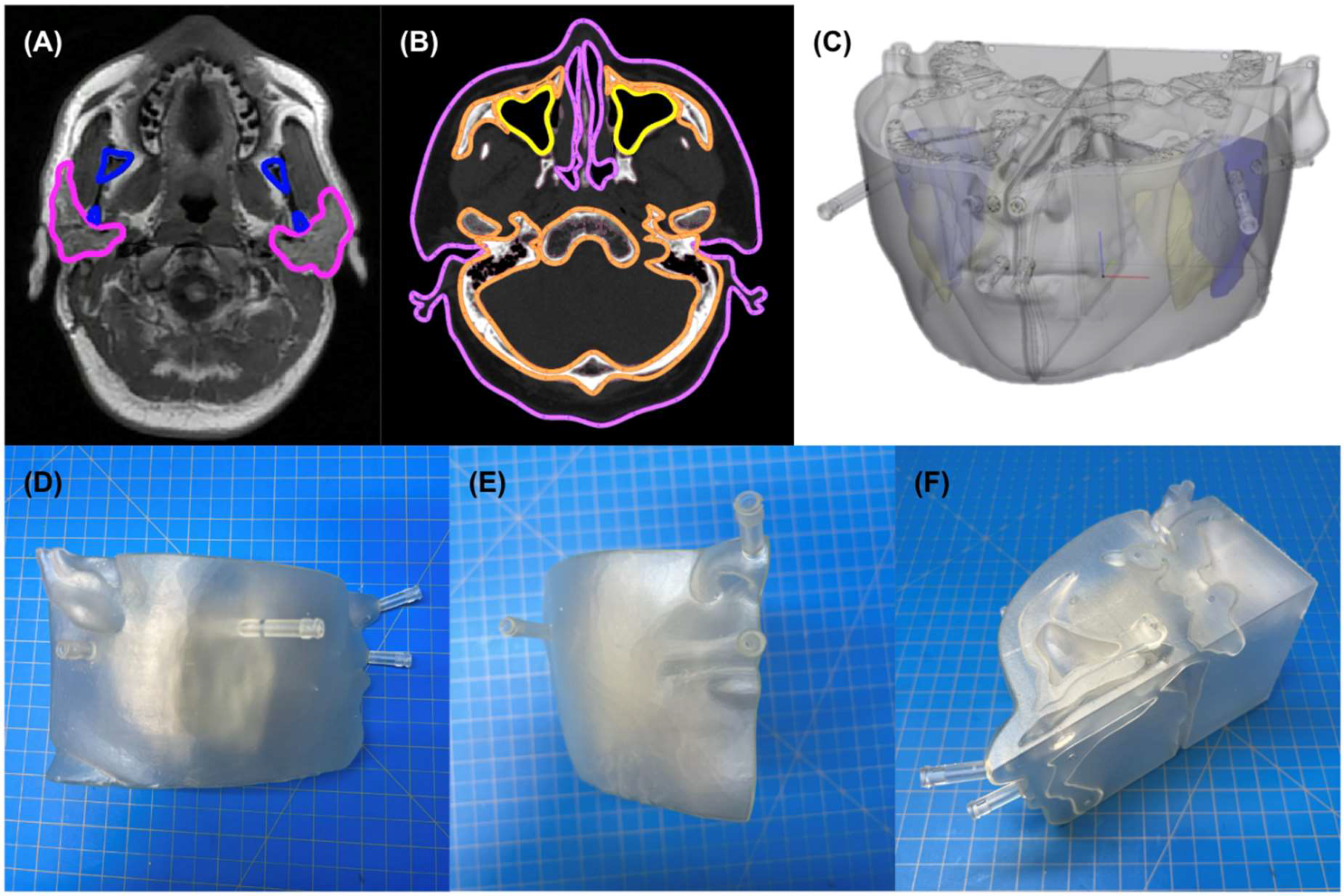 Pharmaceuticals 18 00550 g005