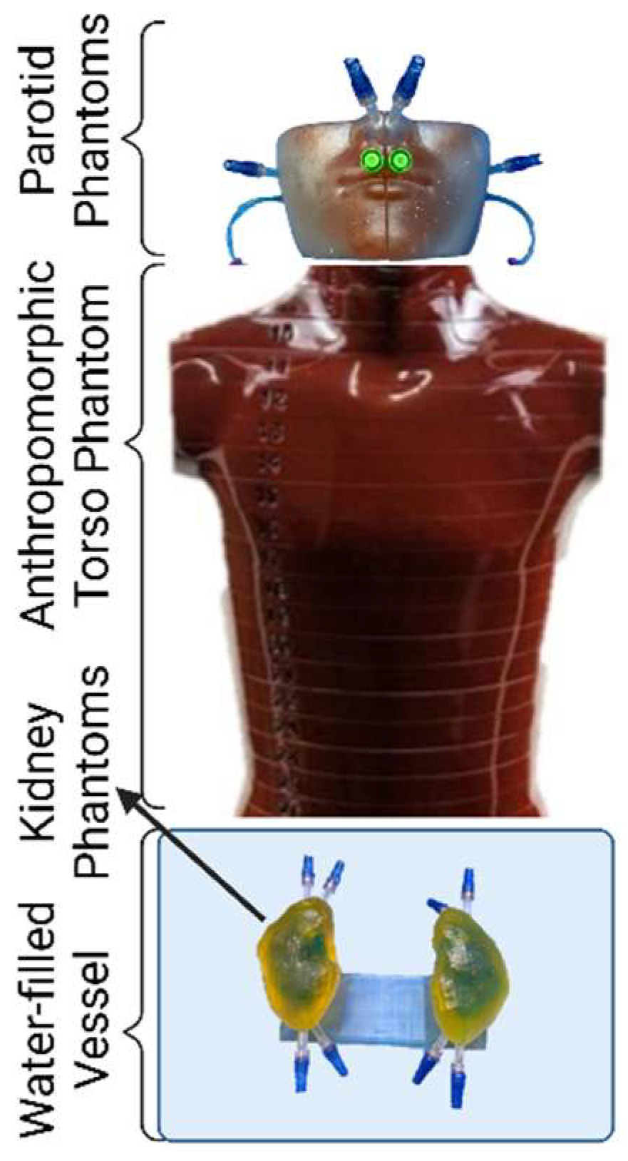 Pharmaceuticals 18 00550 g006