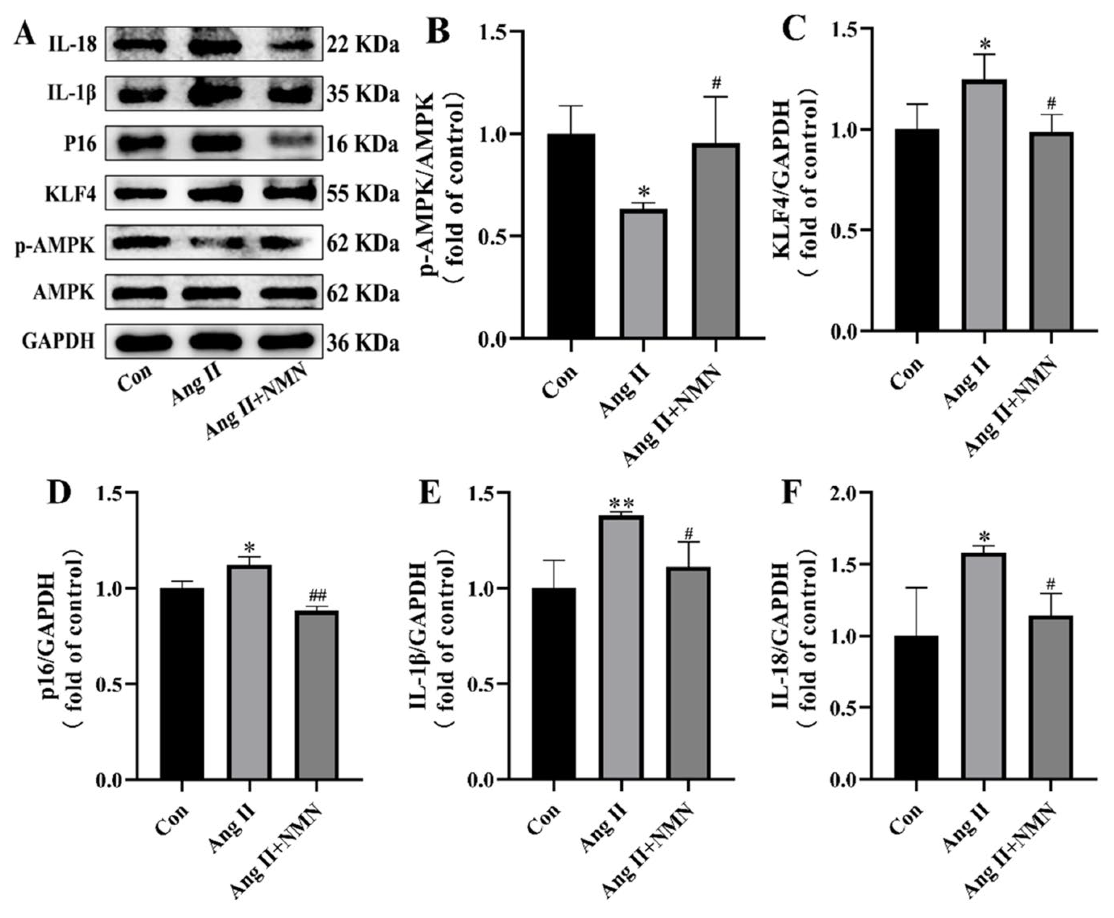 Pharmaceuticals 18 00553 g002