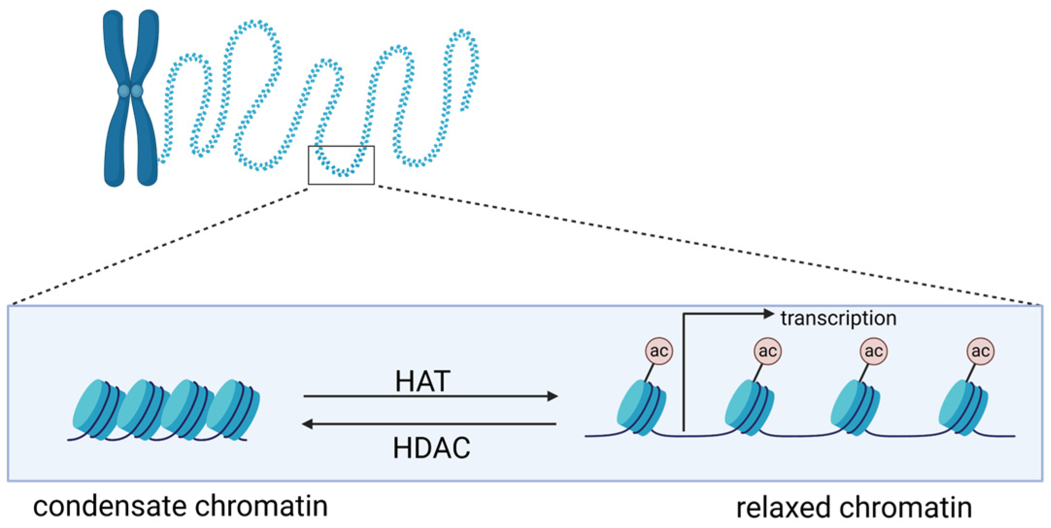 Pharmaceuticals 18 00563 g001