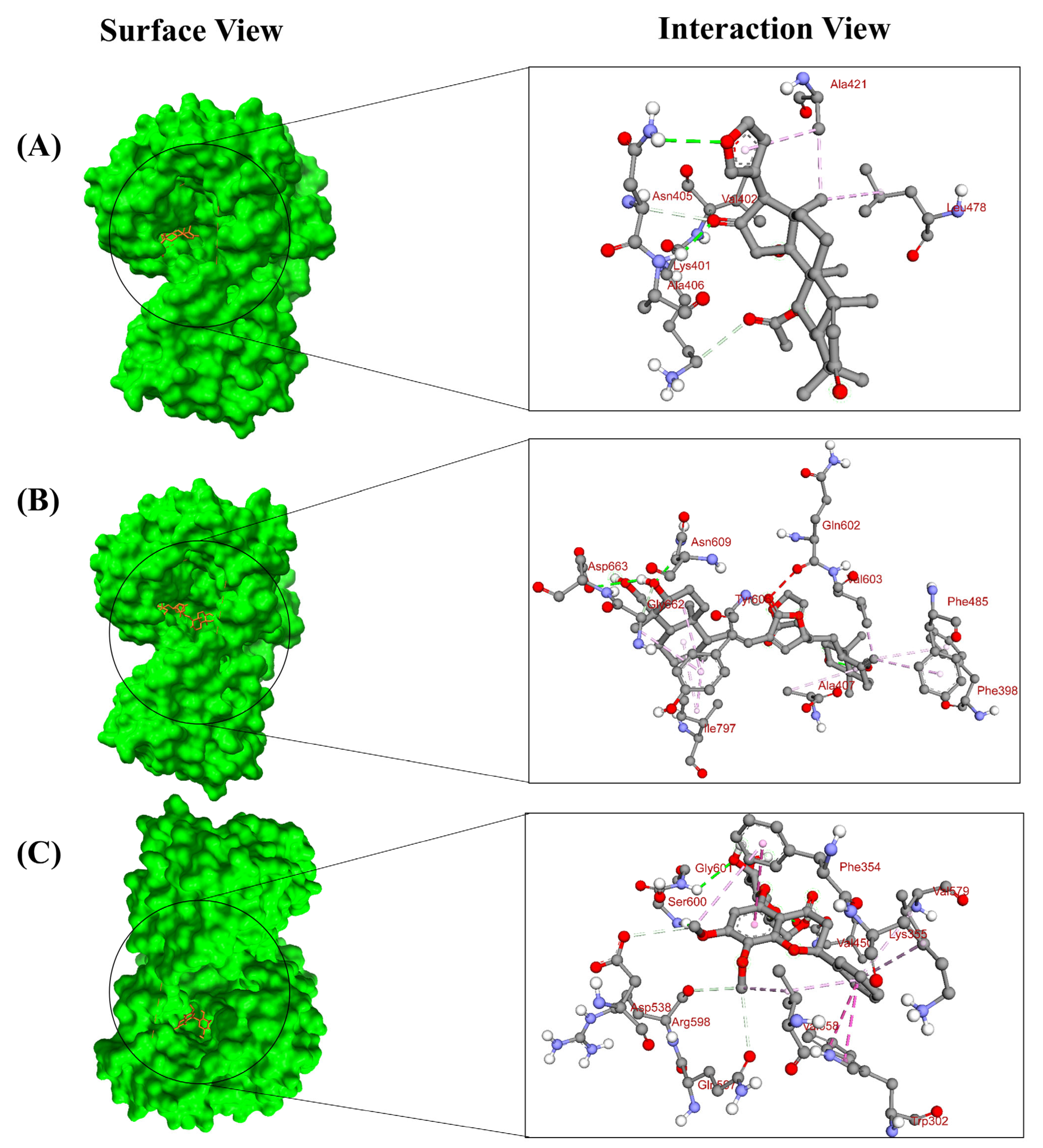 Pharmaceuticals 18 00566 g003