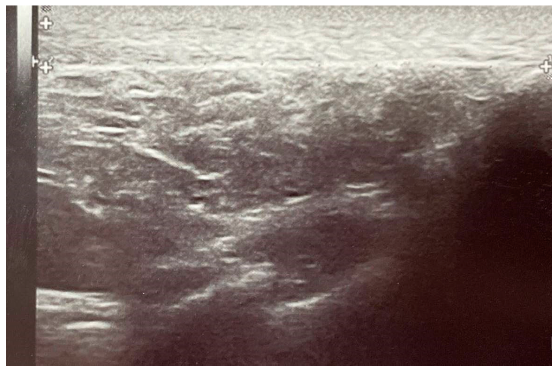 Pharmaceuticals 18 00575 g004