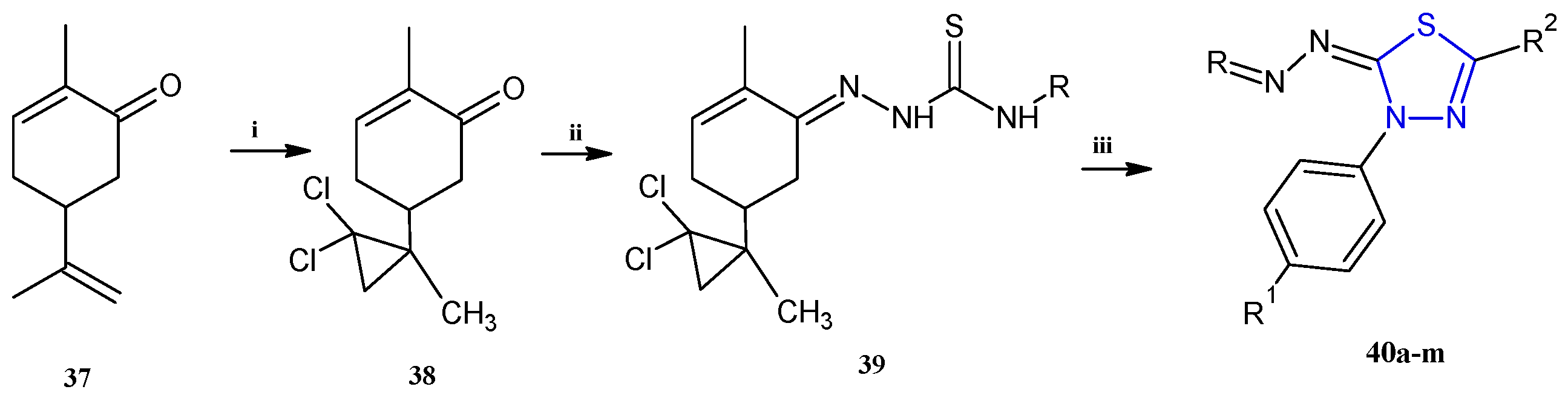 Pharmaceuticals 18 00580 sch009