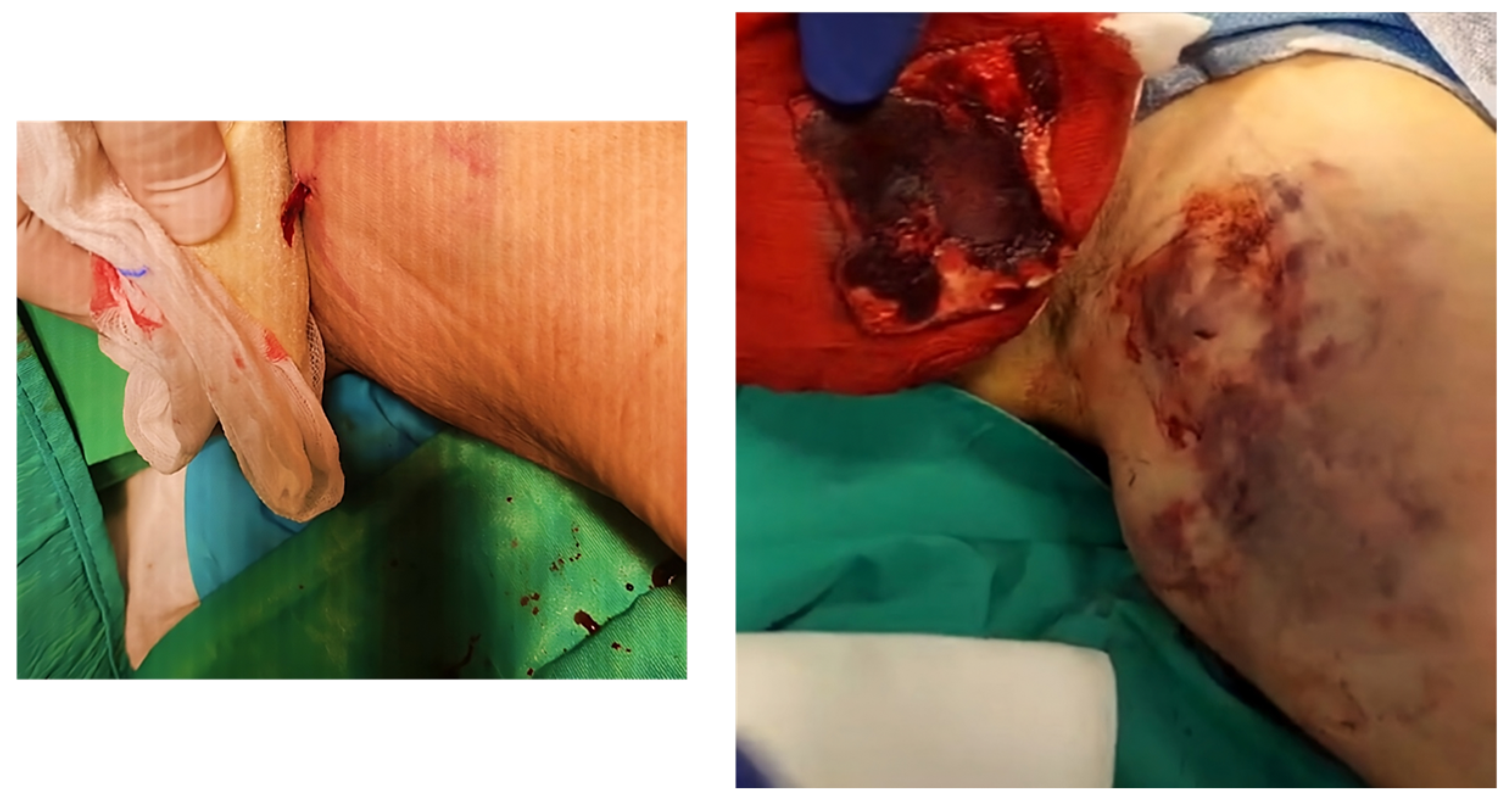 Pharmaceuticals 18 00584 g007