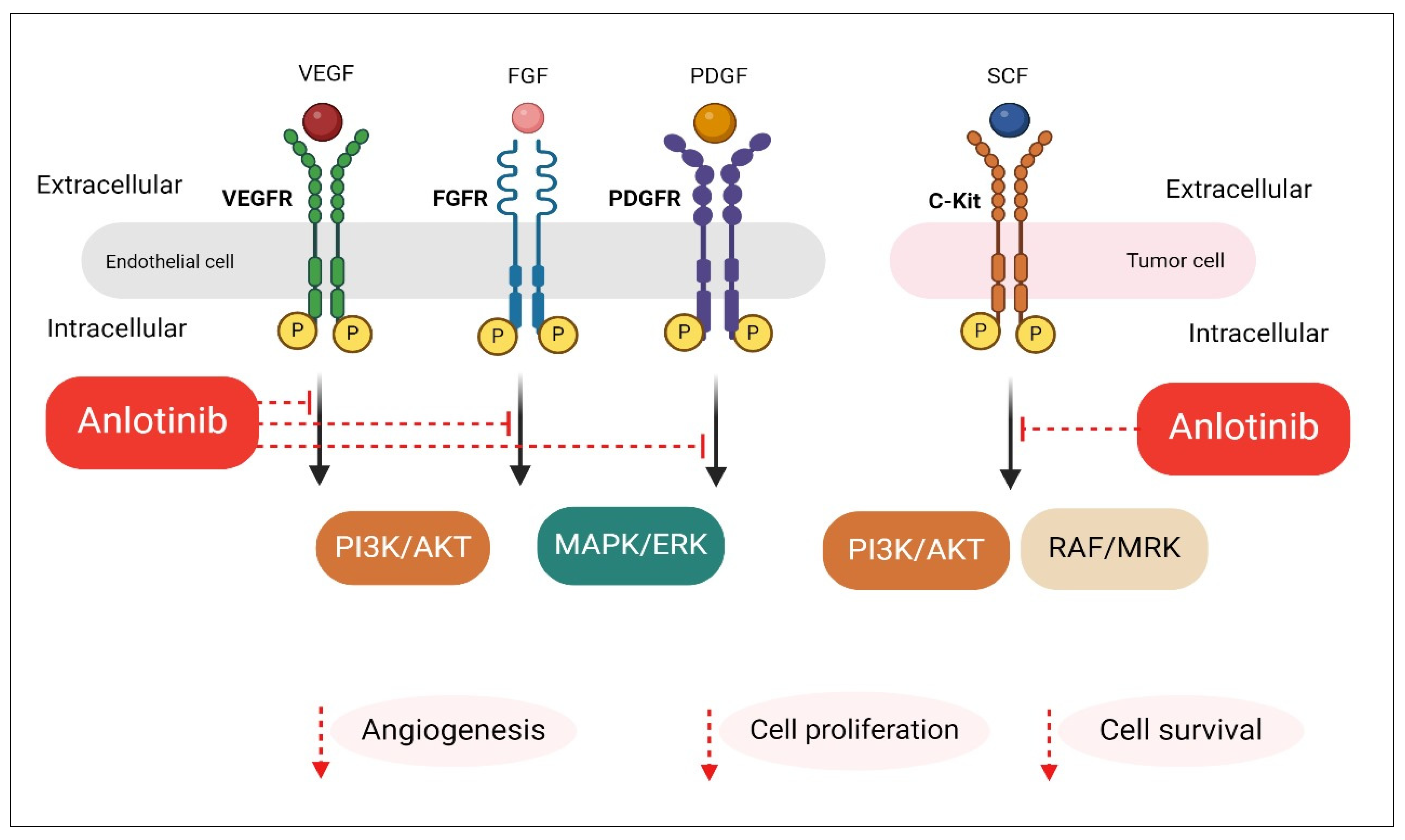 Pharmaceuticals 18 00585 g001
