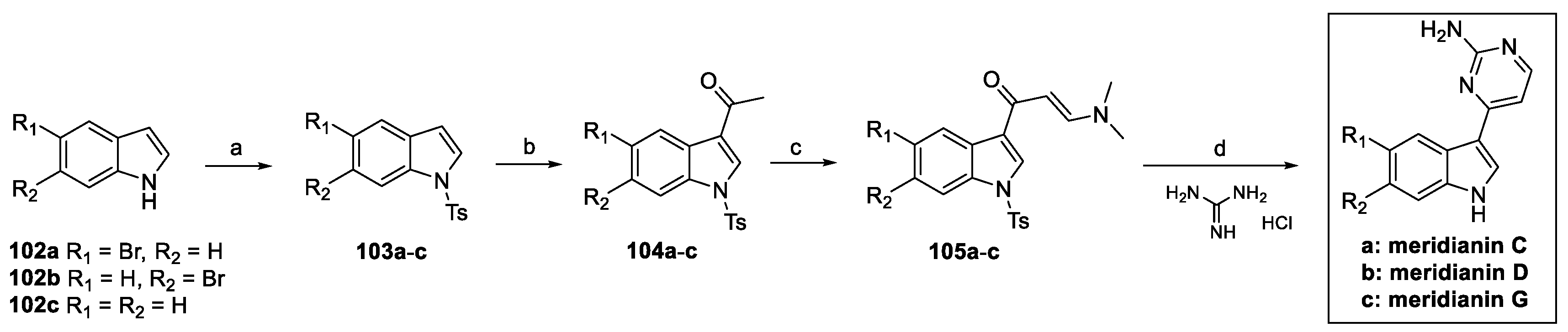 Pharmaceuticals 18 00589 sch024