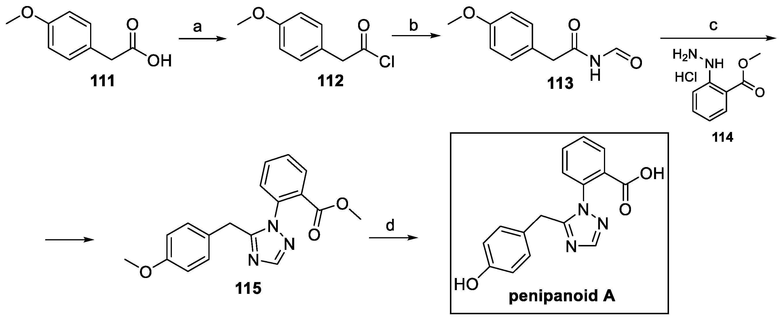 Pharmaceuticals 18 00589 sch026