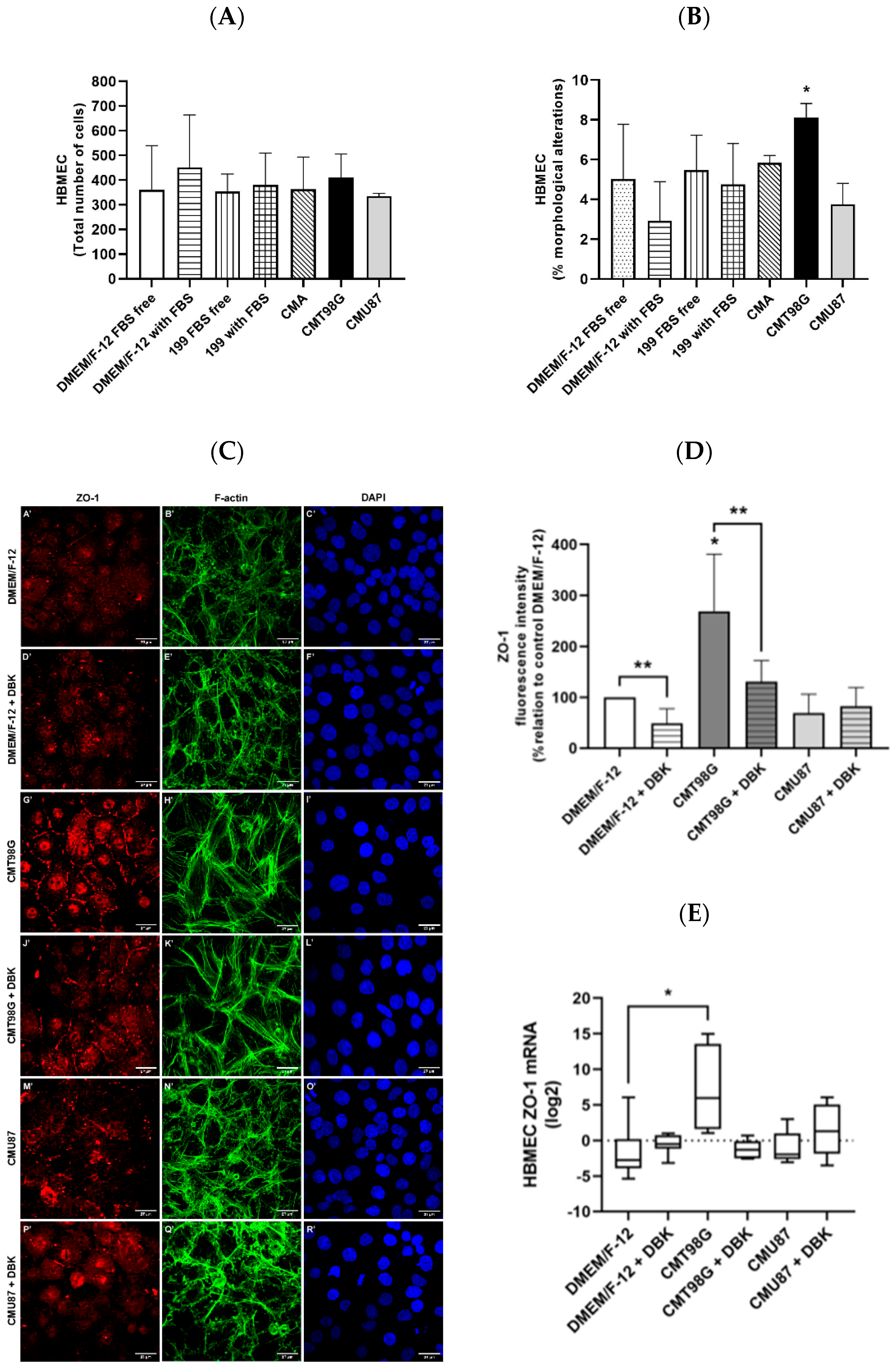 Pharmaceuticals 18 00591 g001