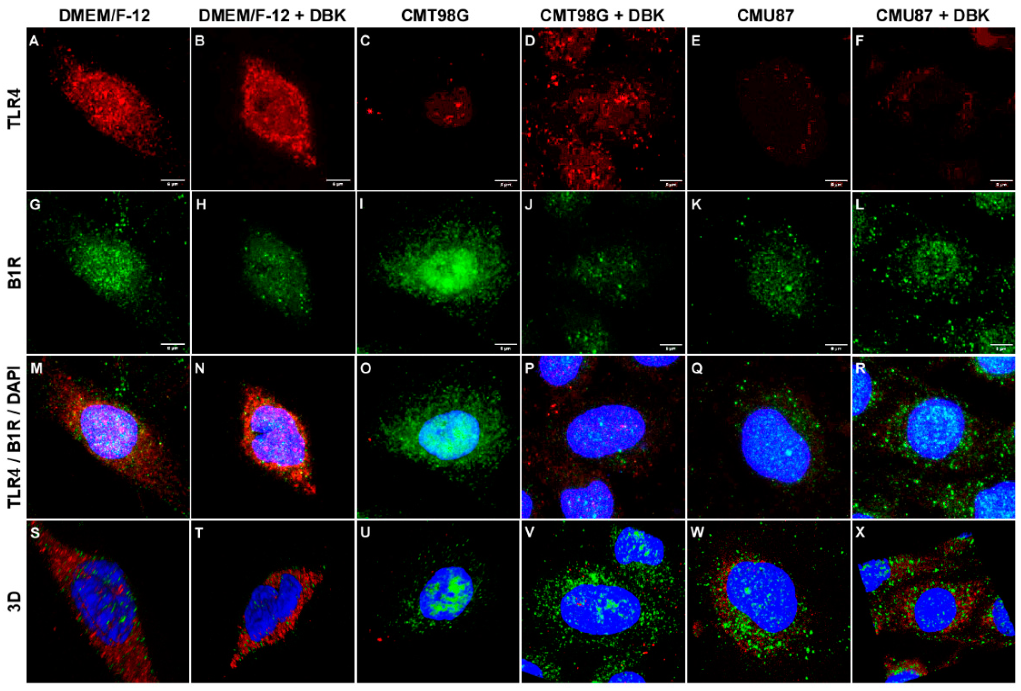 Pharmaceuticals 18 00591 g002