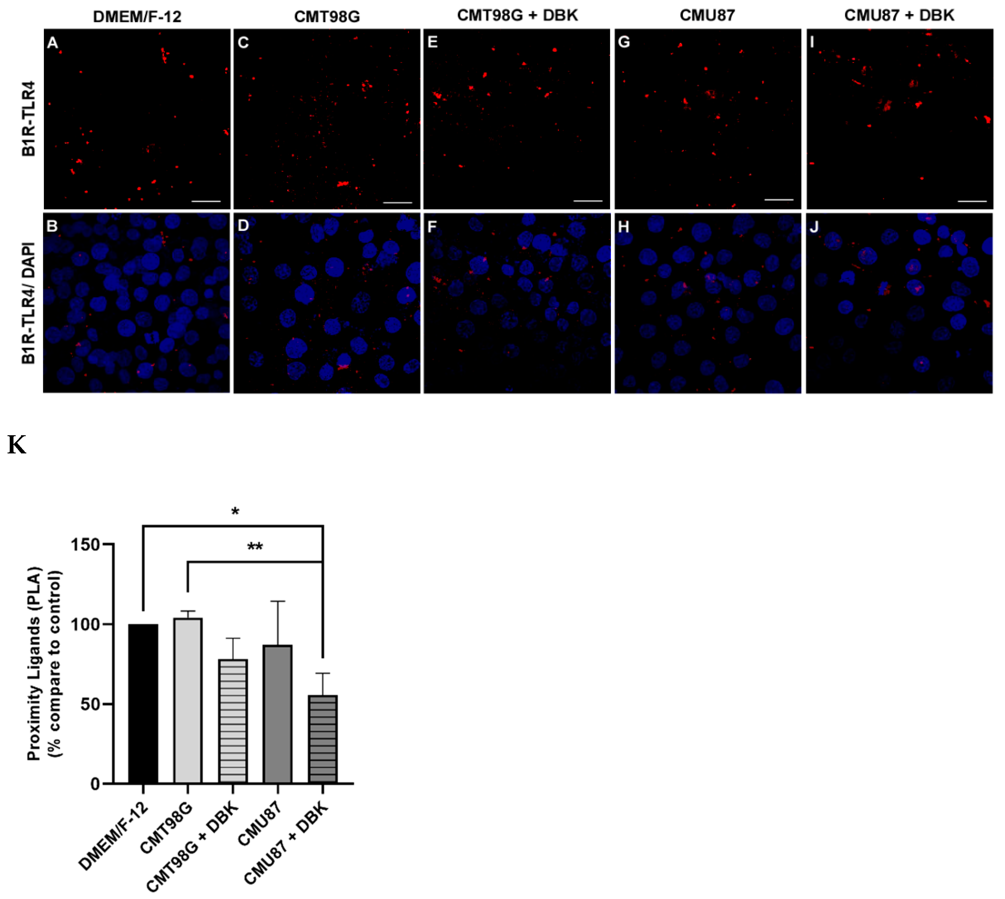 Pharmaceuticals 18 00591 g004