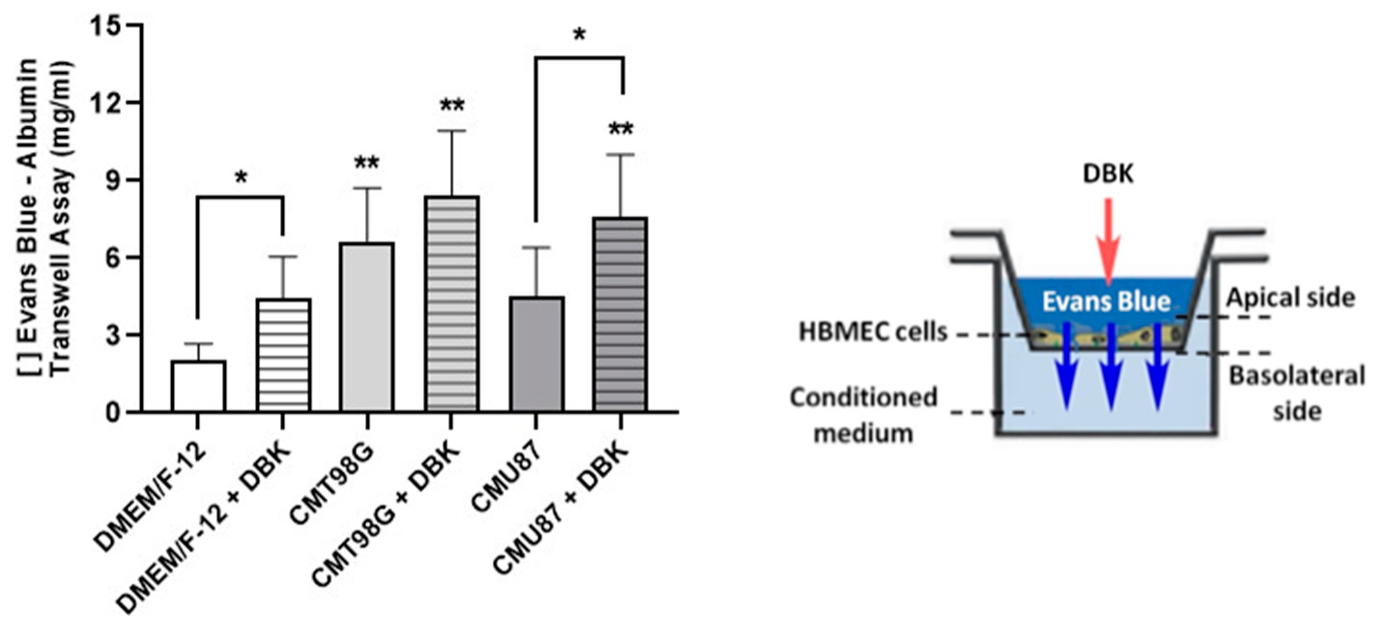 Pharmaceuticals 18 00591 g005