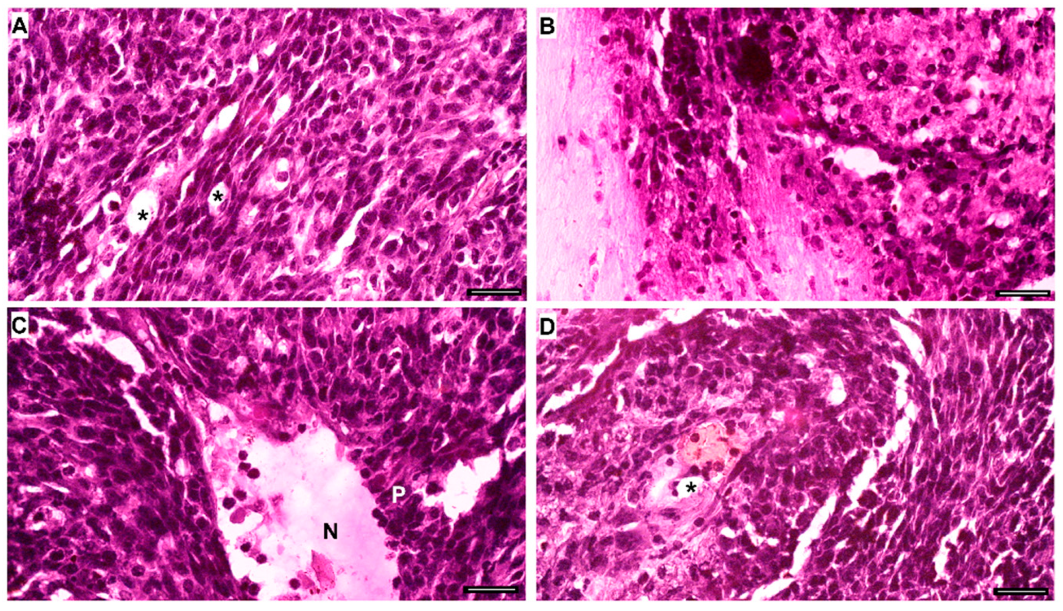 Pharmaceuticals 18 00591 g007