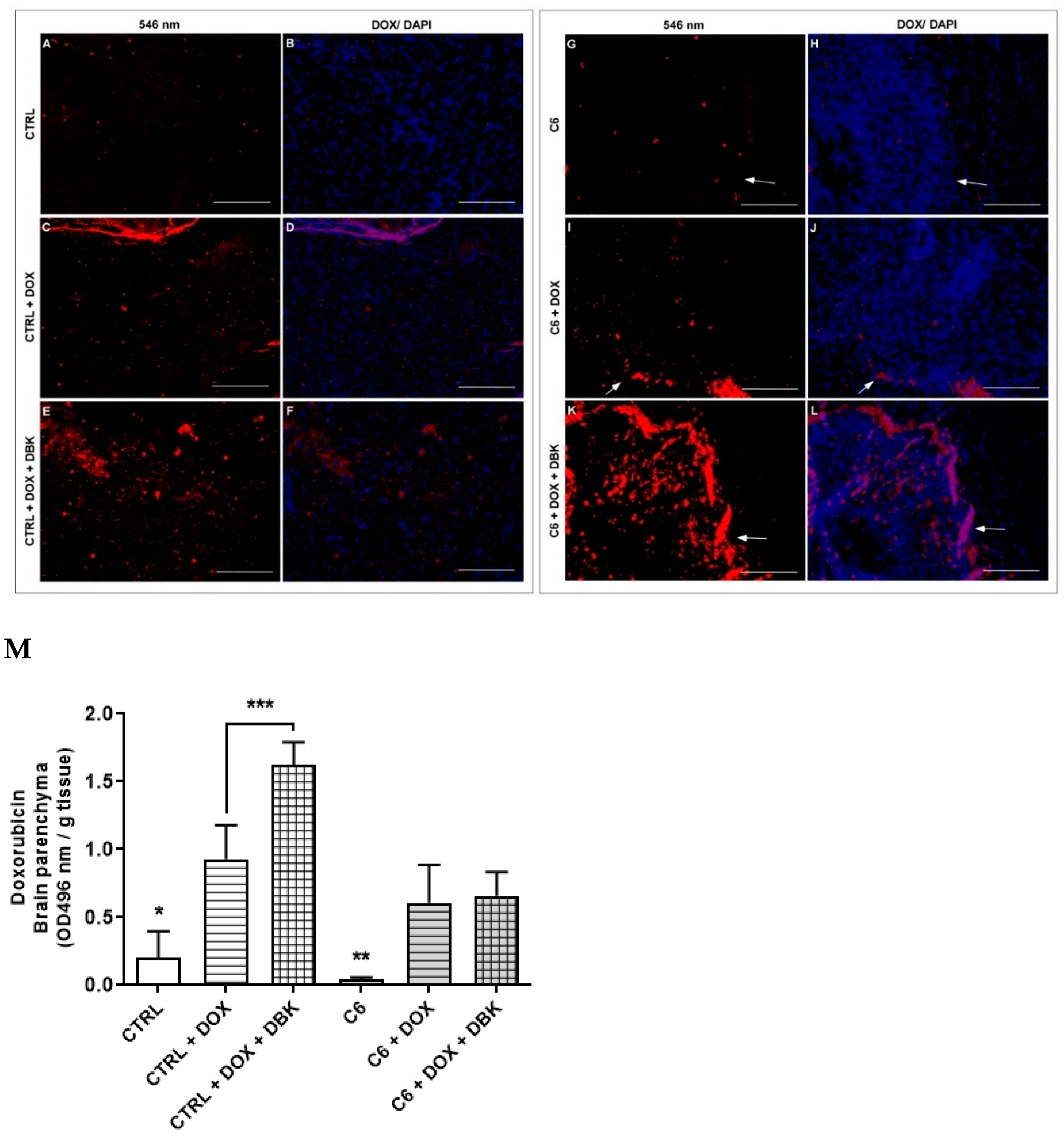 Pharmaceuticals 18 00591 g008