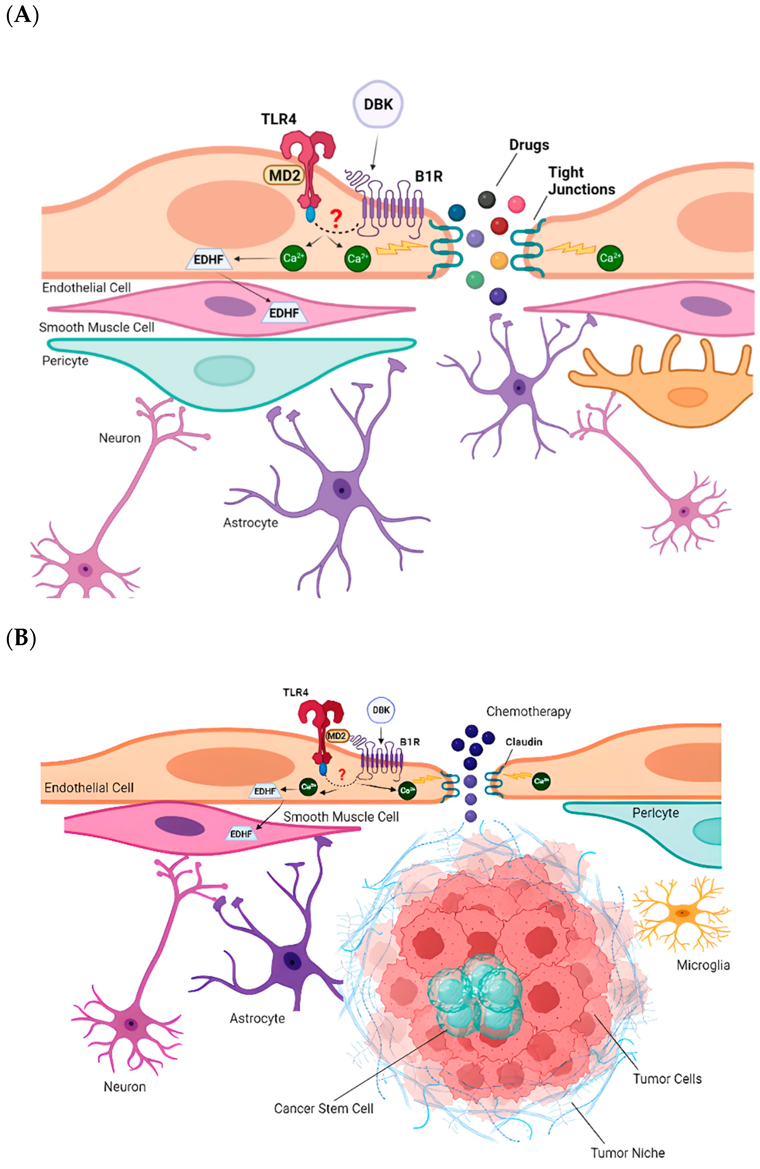 Pharmaceuticals 18 00591 g010