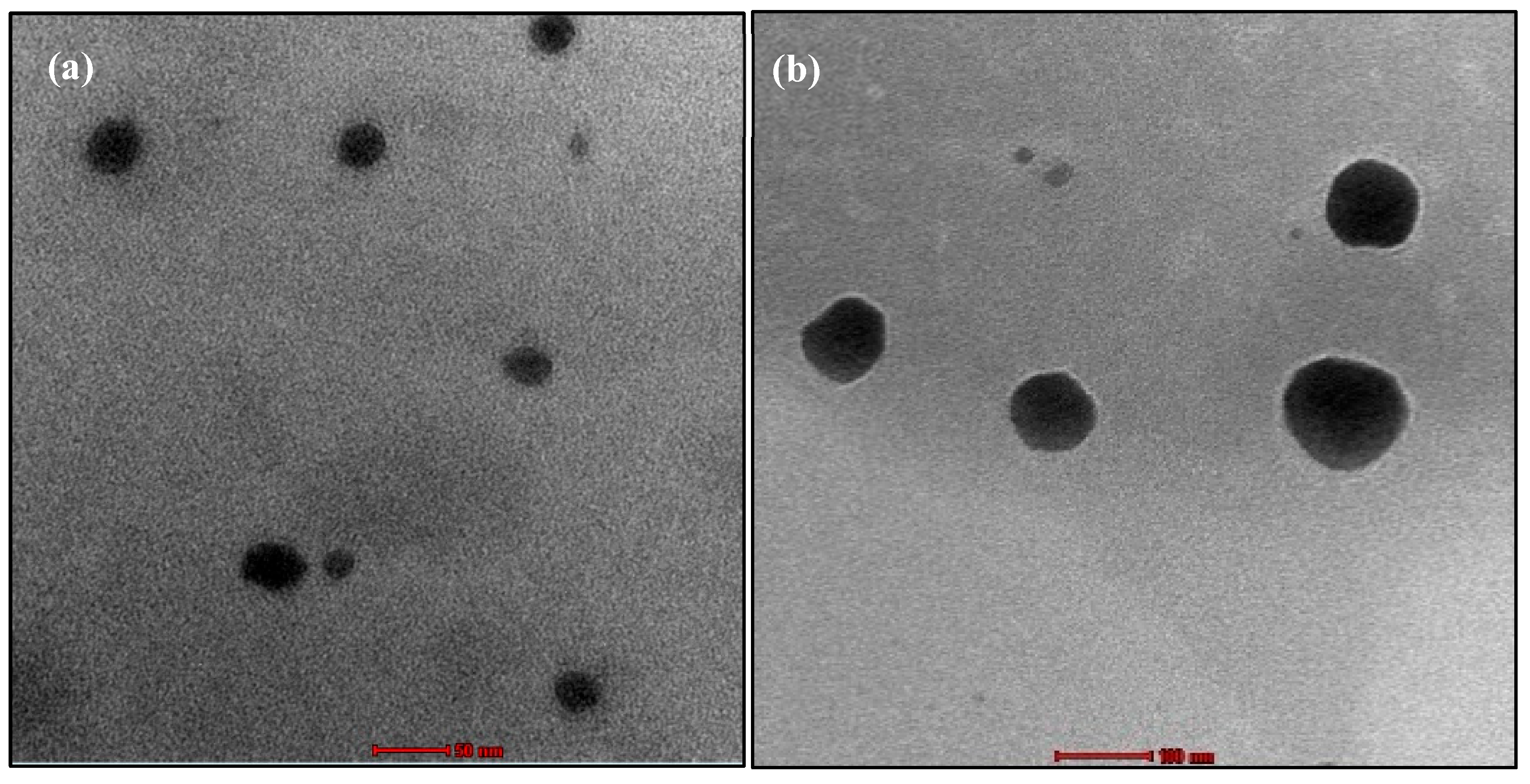 Pharmaceuticals 18 00594 g005