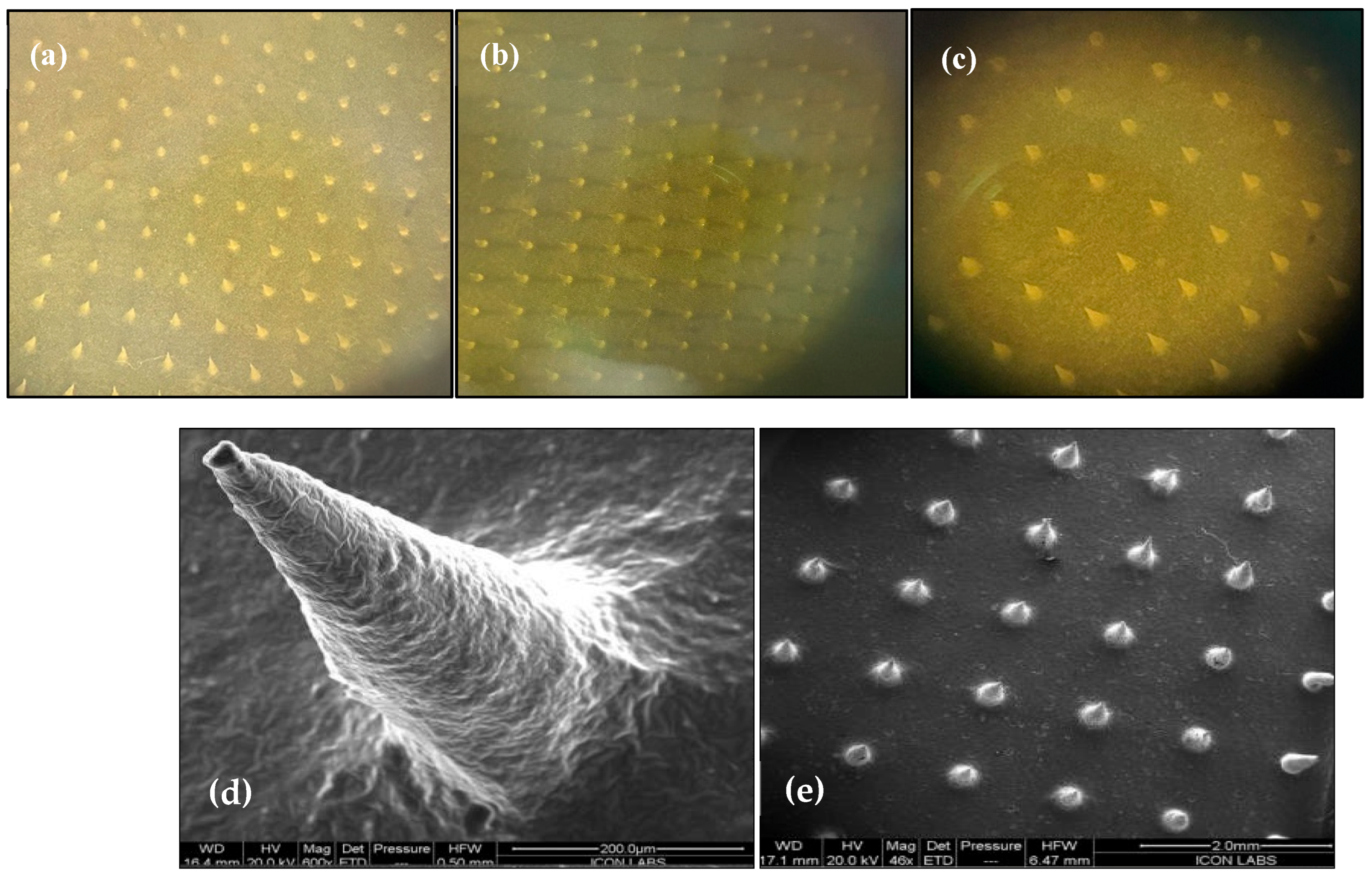 Pharmaceuticals 18 00594 g007