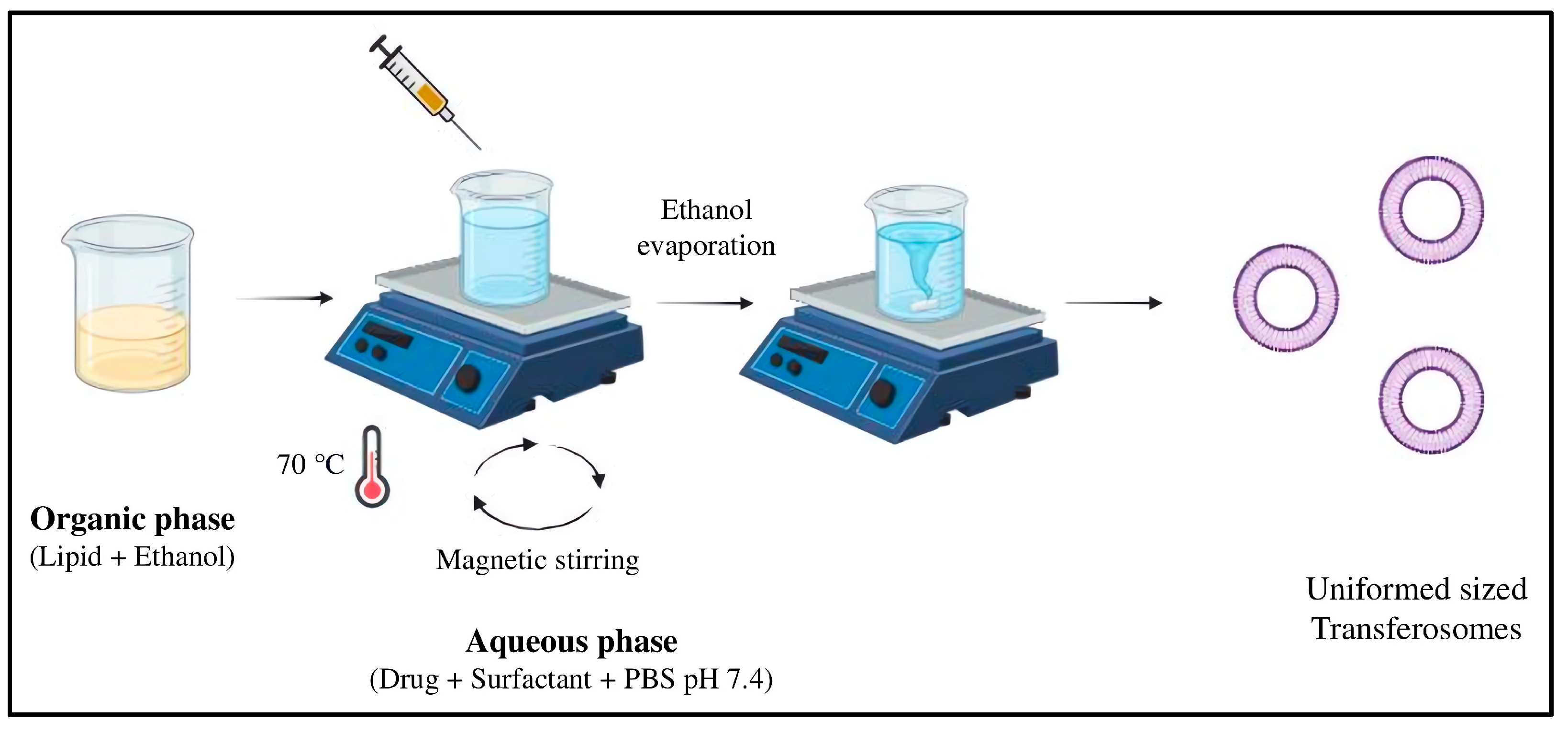 Pharmaceuticals 18 00594 g012