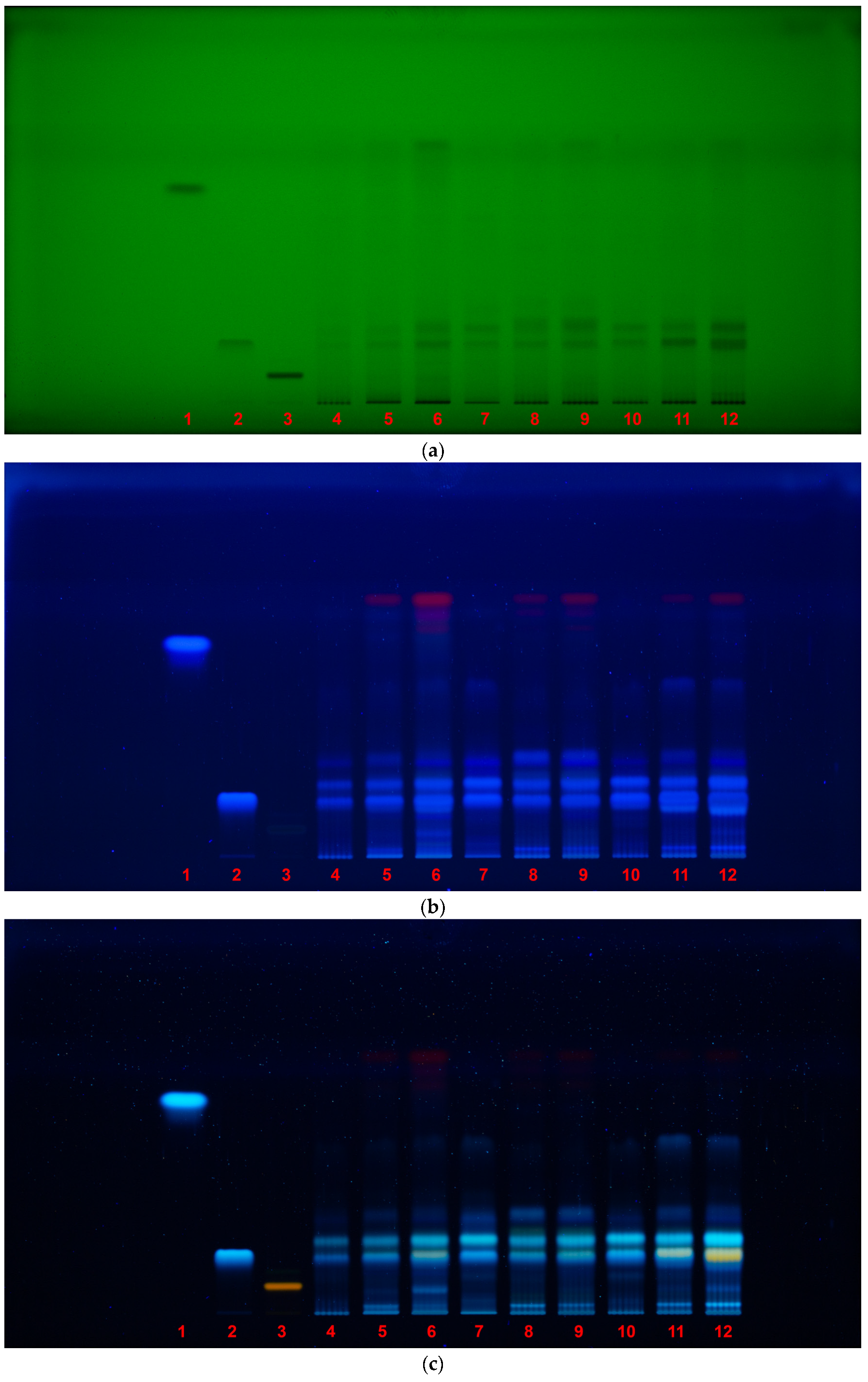 Pharmaceuticals 18 00599 g003a