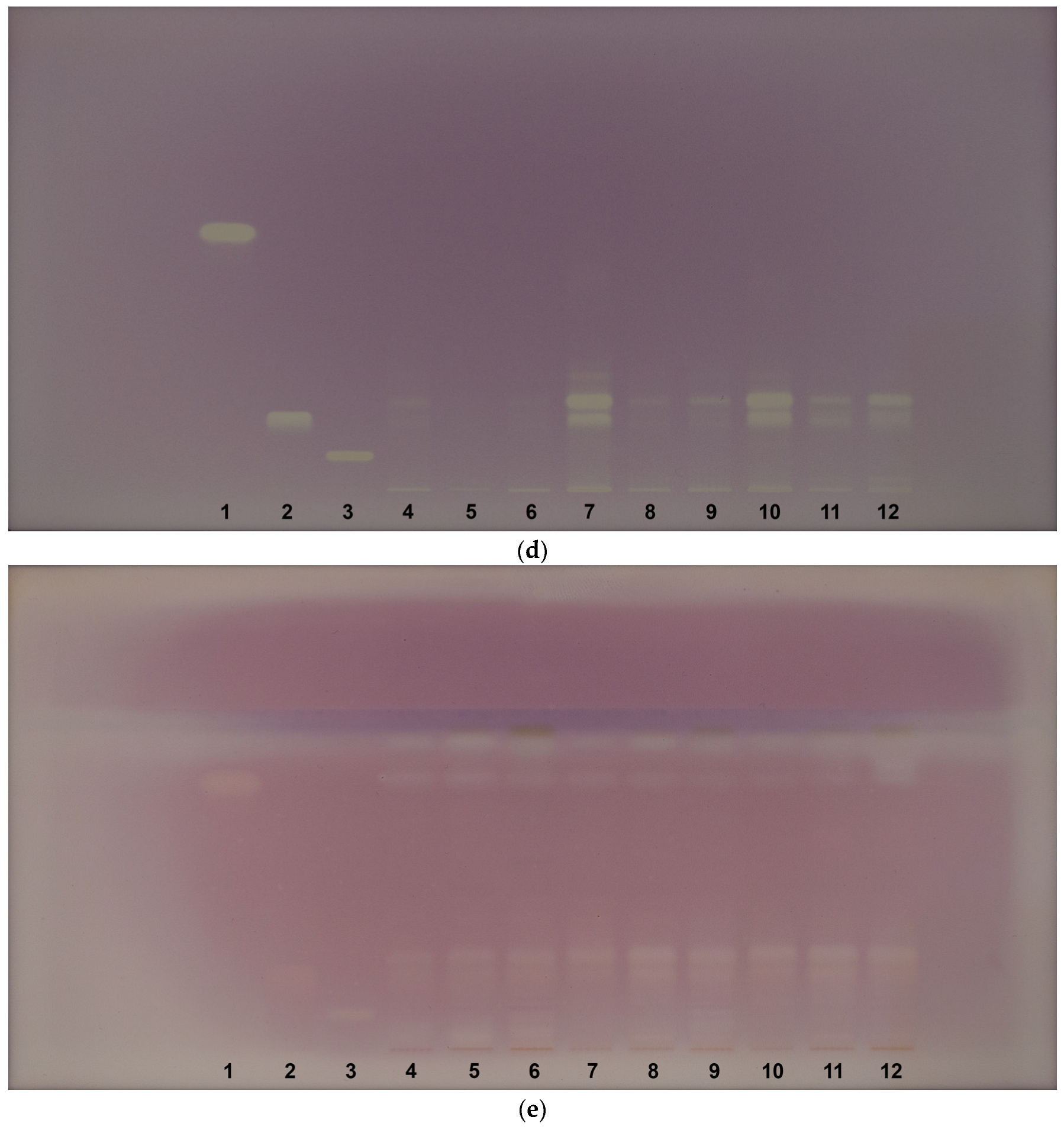 Pharmaceuticals 18 00599 g003b