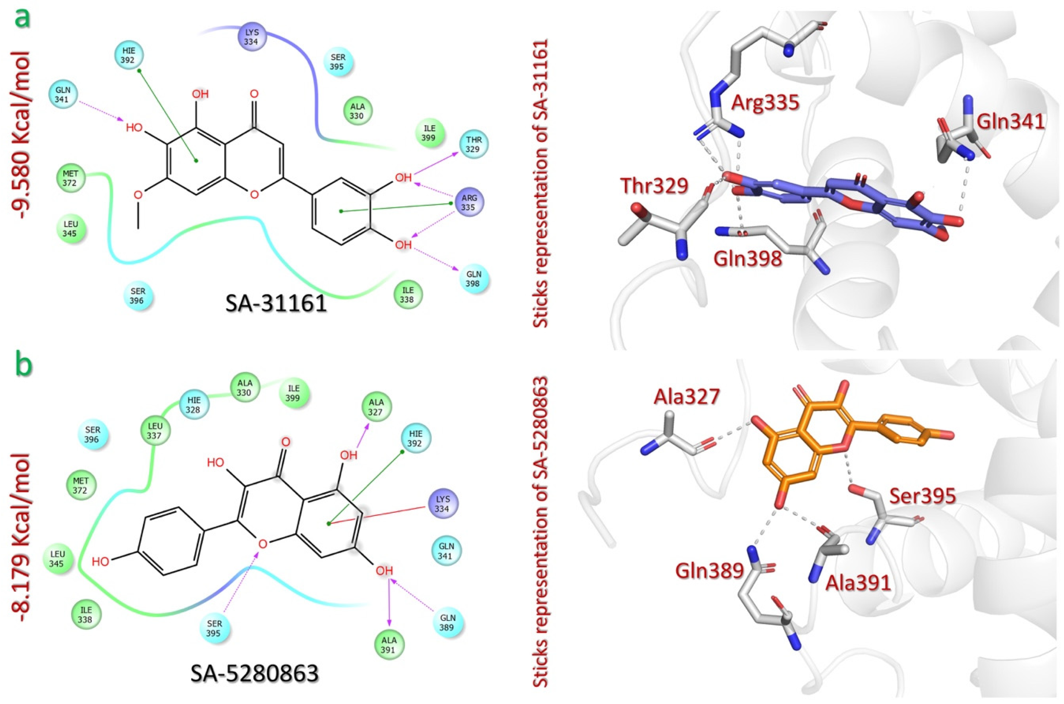Pharmaceuticals 18 00602 g003