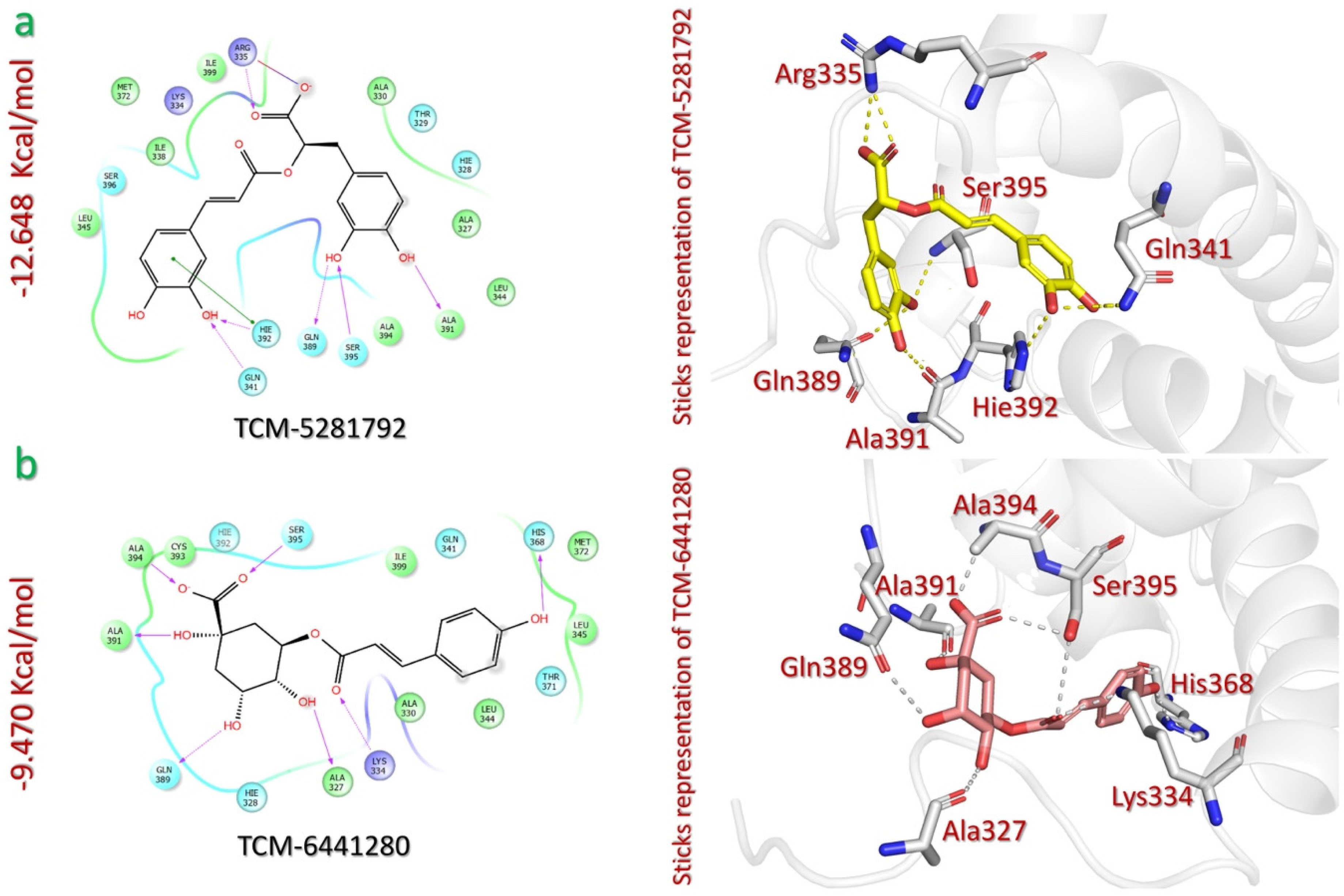 Pharmaceuticals 18 00602 g006