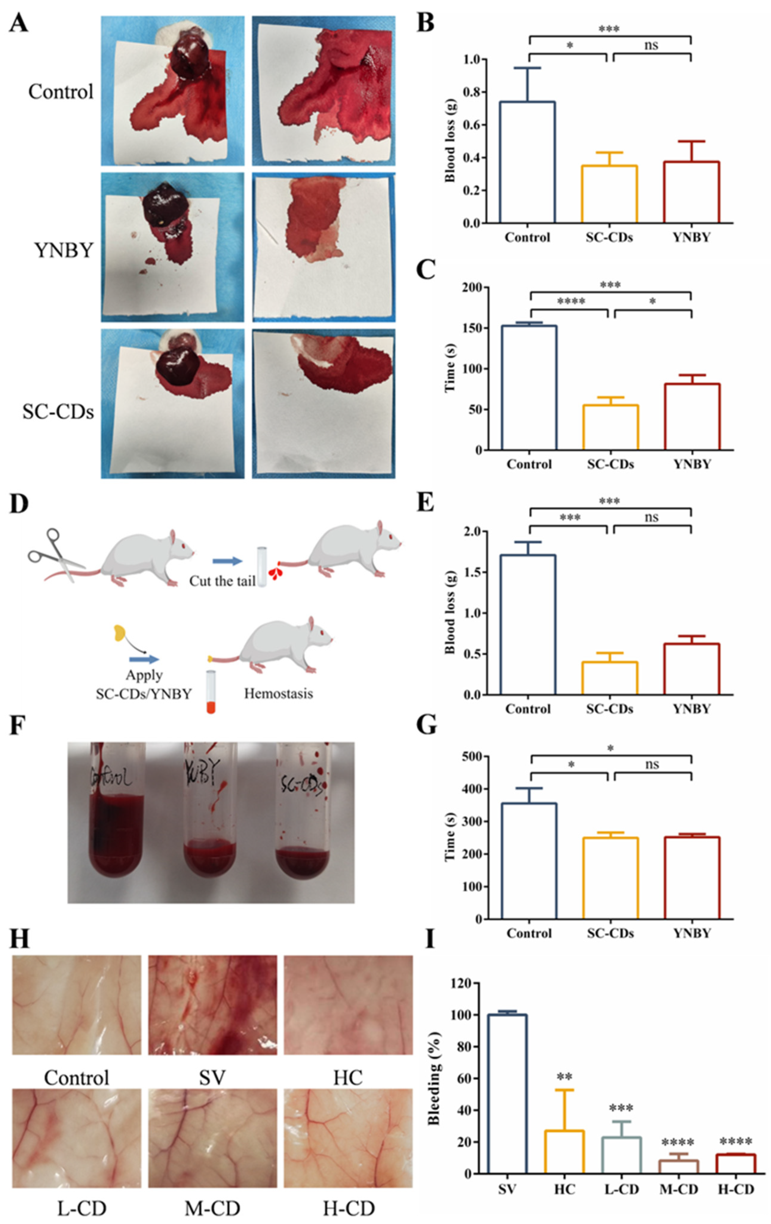 Pharmaceuticals 18 00603 g004