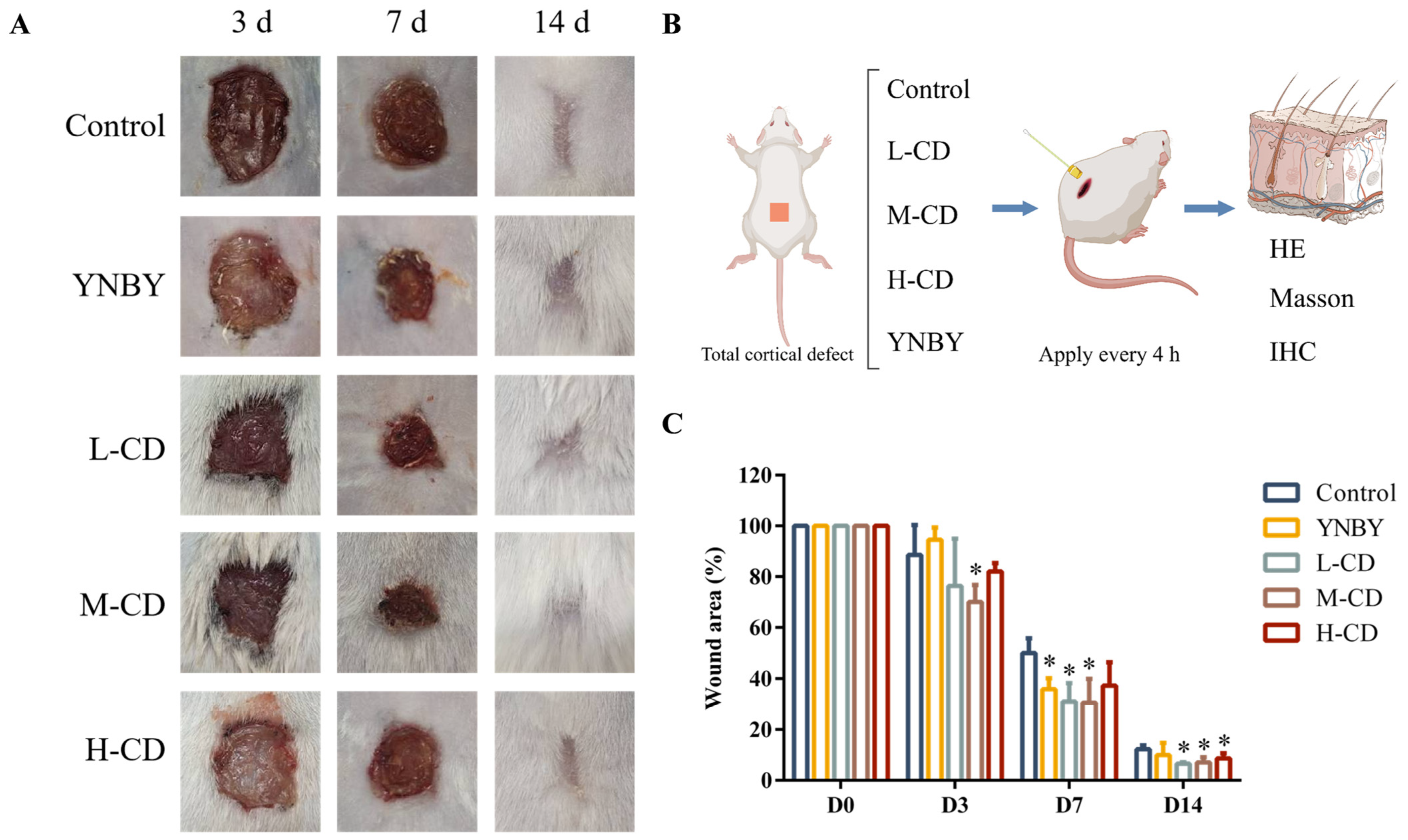 Pharmaceuticals 18 00603 g005