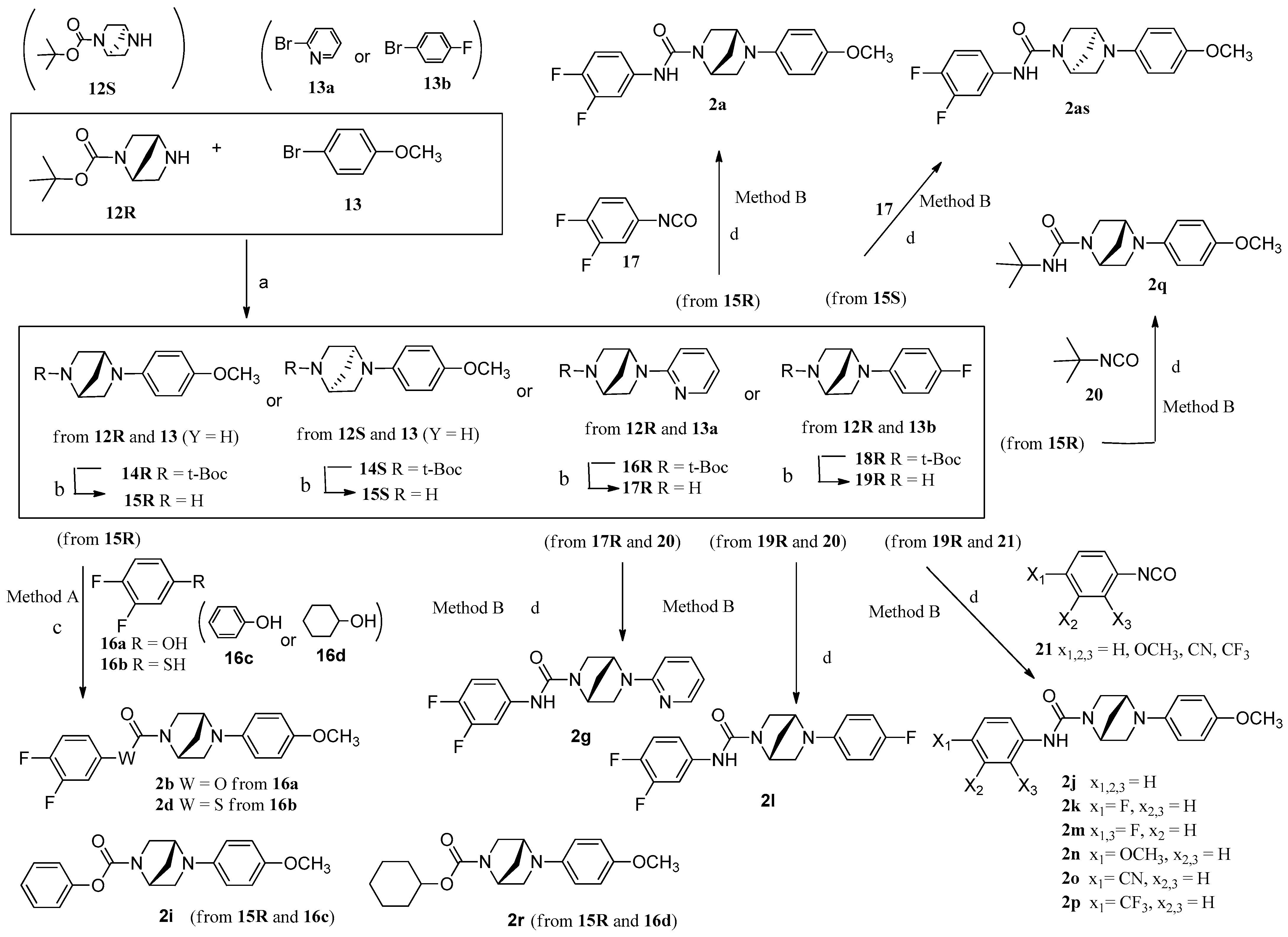 Pharmaceuticals 18 00608 sch001