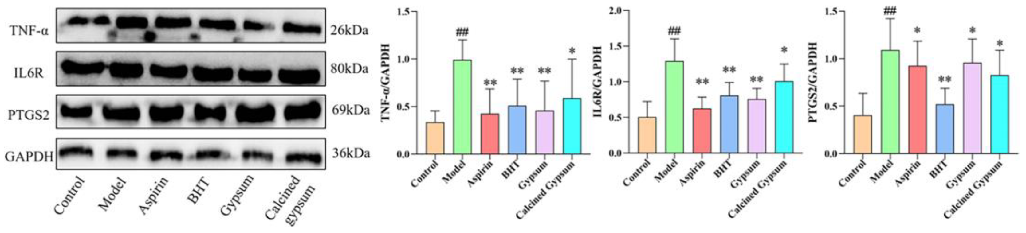 Pharmaceuticals 18 00610 g010