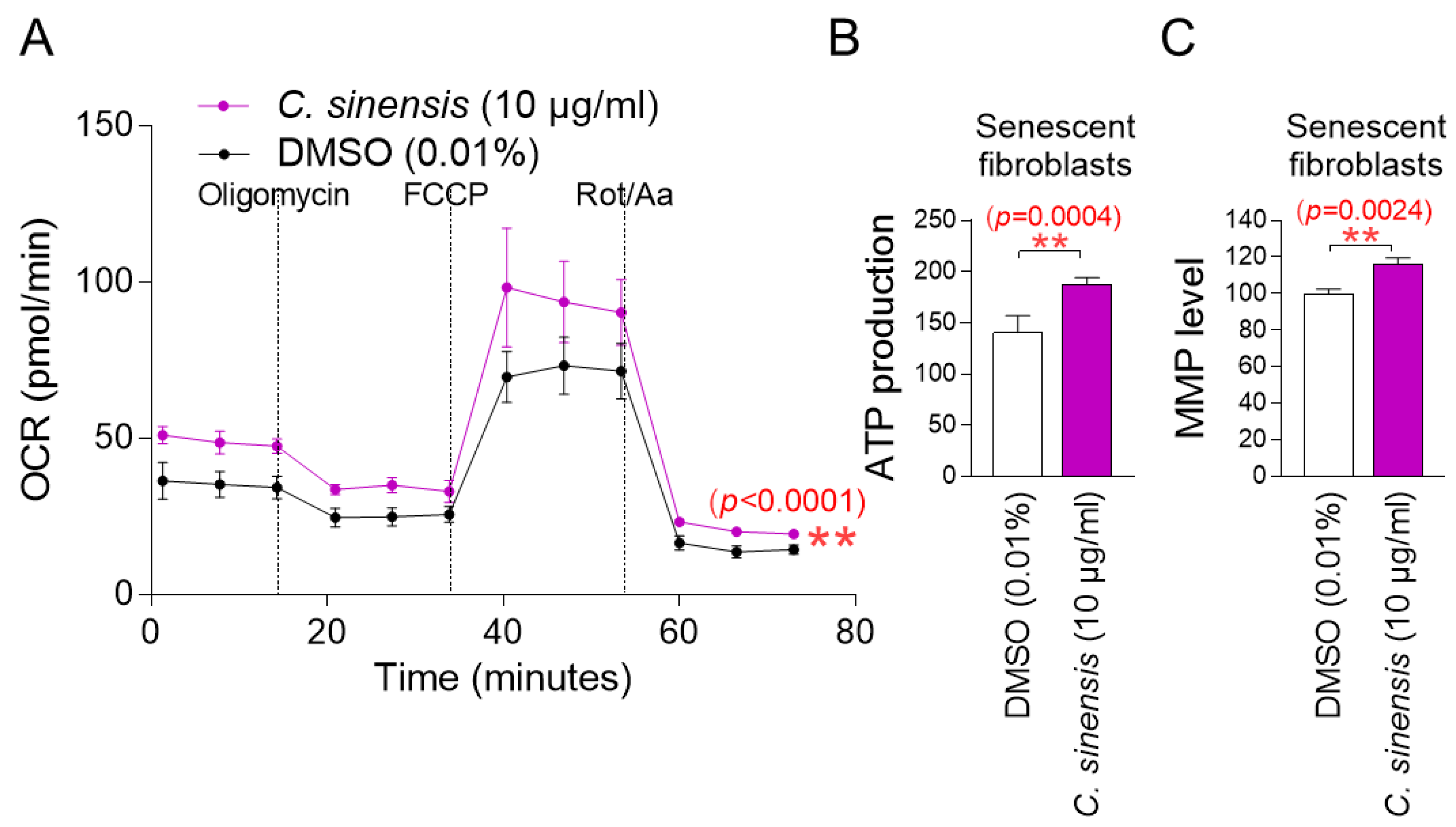 Pharmaceuticals 18 00612 g003