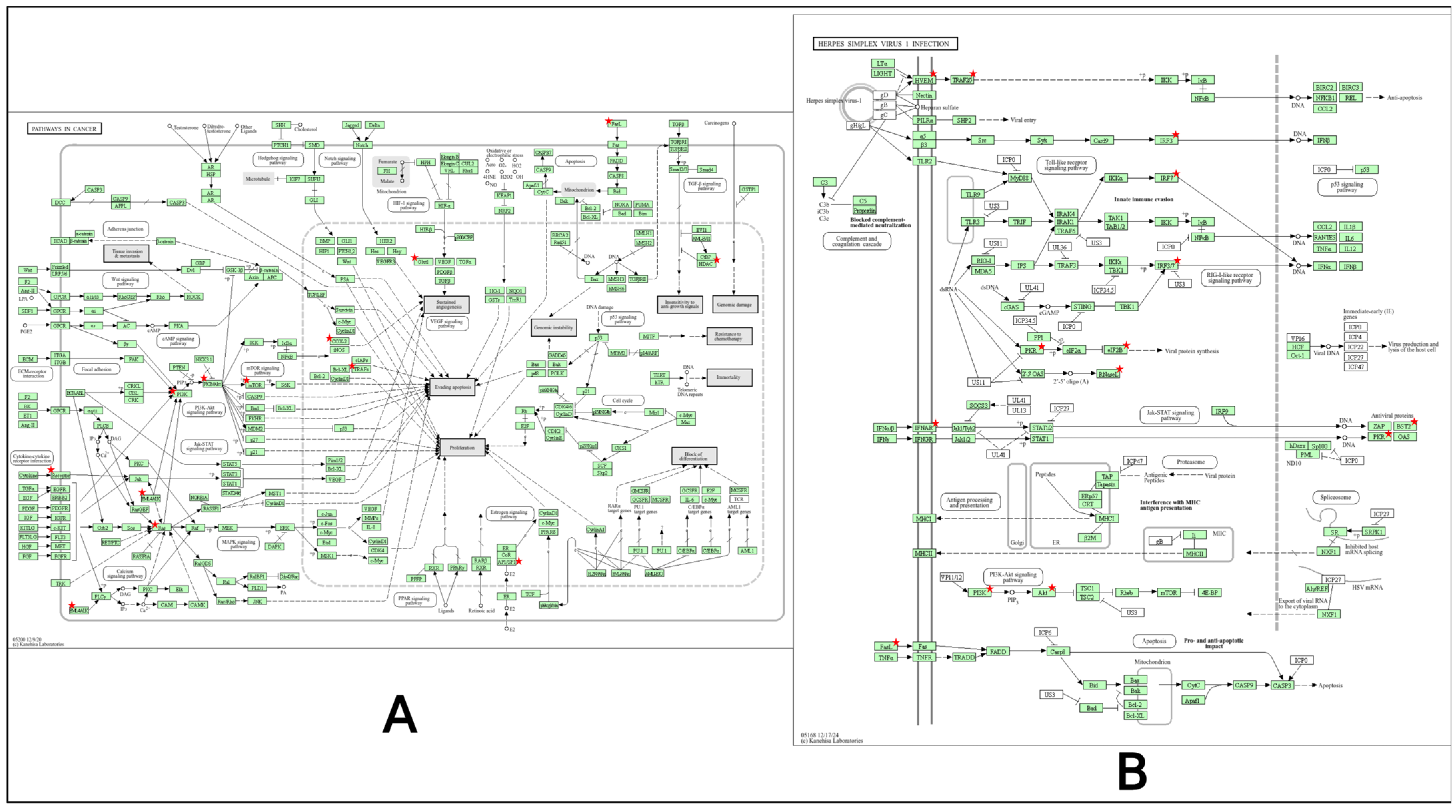 Pharmaceuticals 18 00613 g005