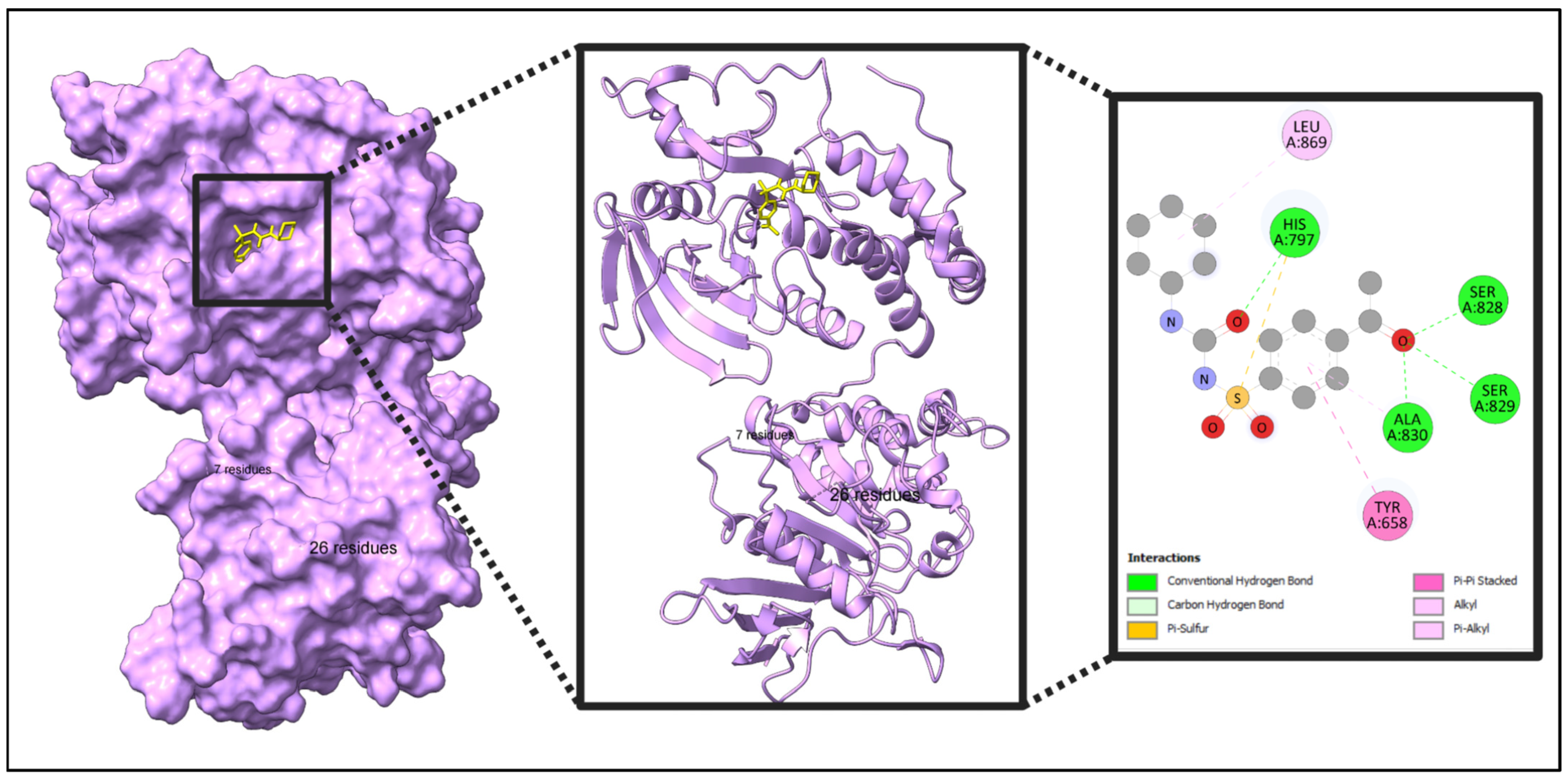 Pharmaceuticals 18 00613 g010