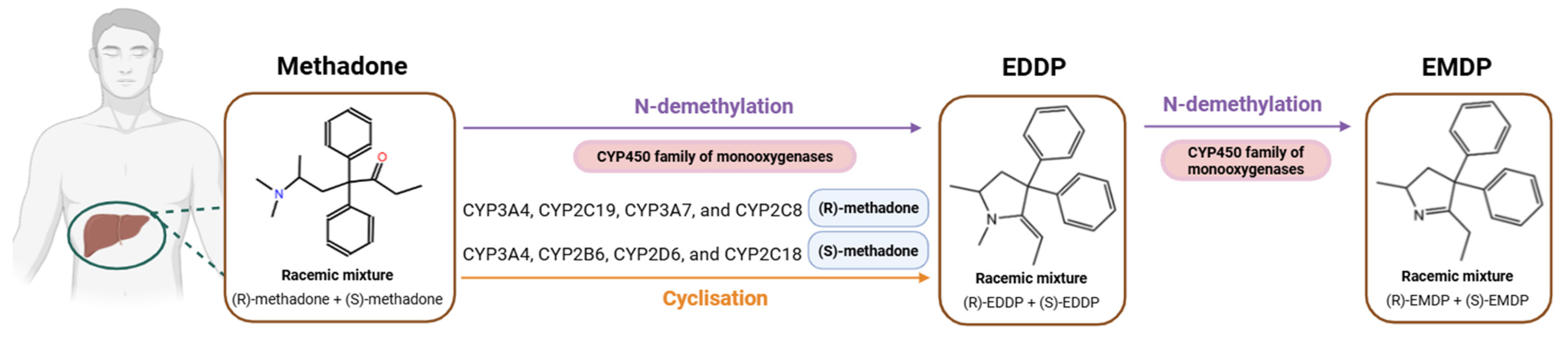 Pharmaceuticals 18 00623 g001