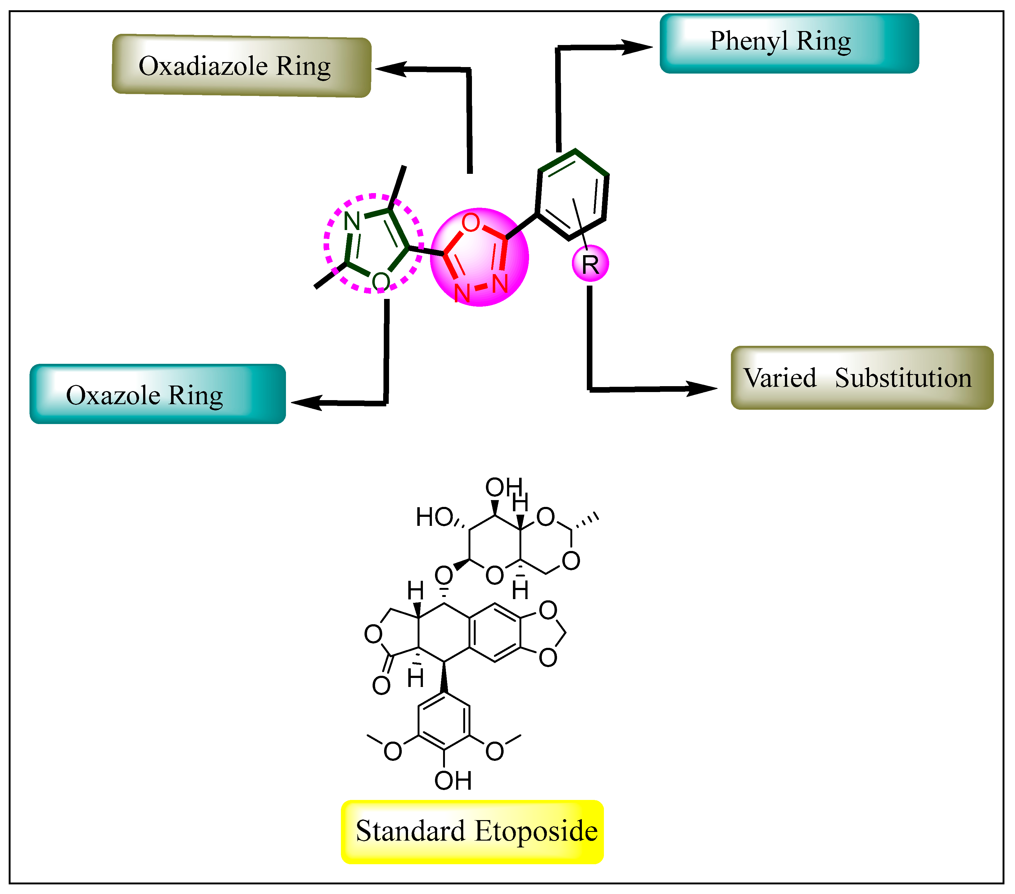 Pharmaceuticals 18 00625 g003