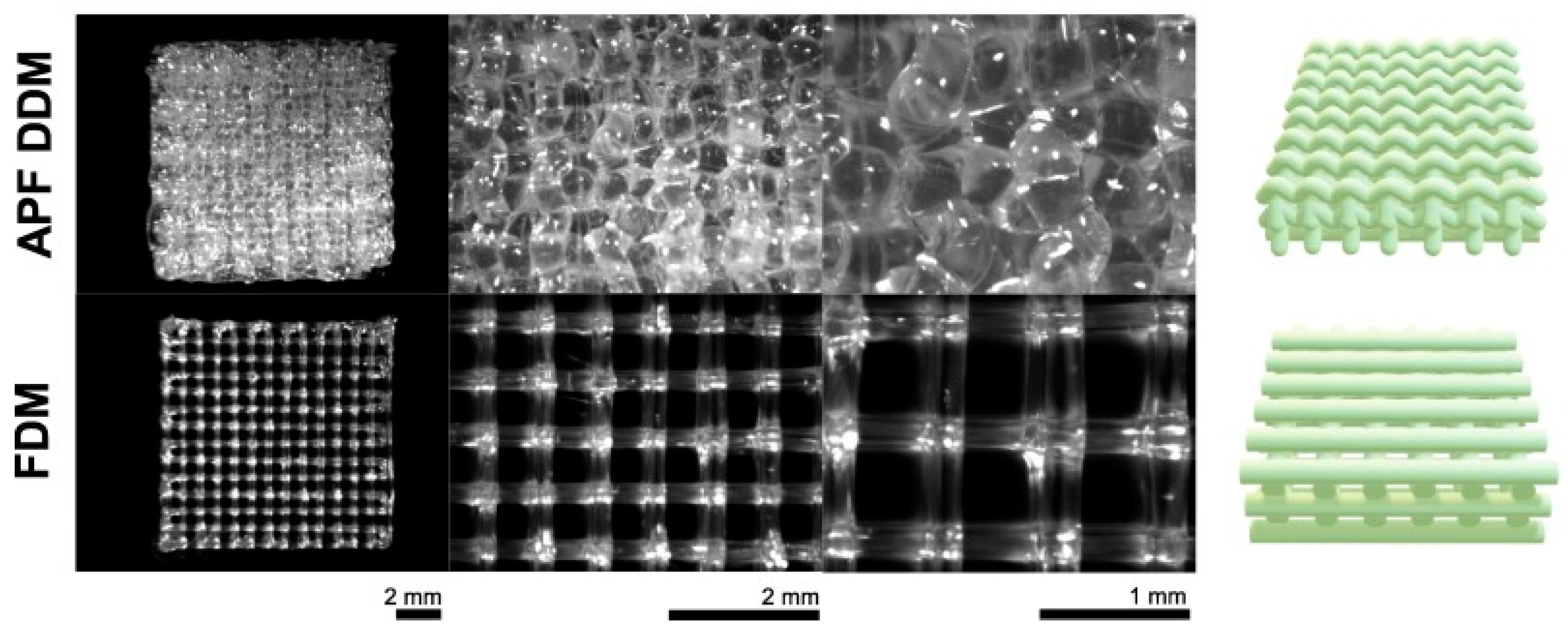 Pharmaceuticals 18 00631 g003
