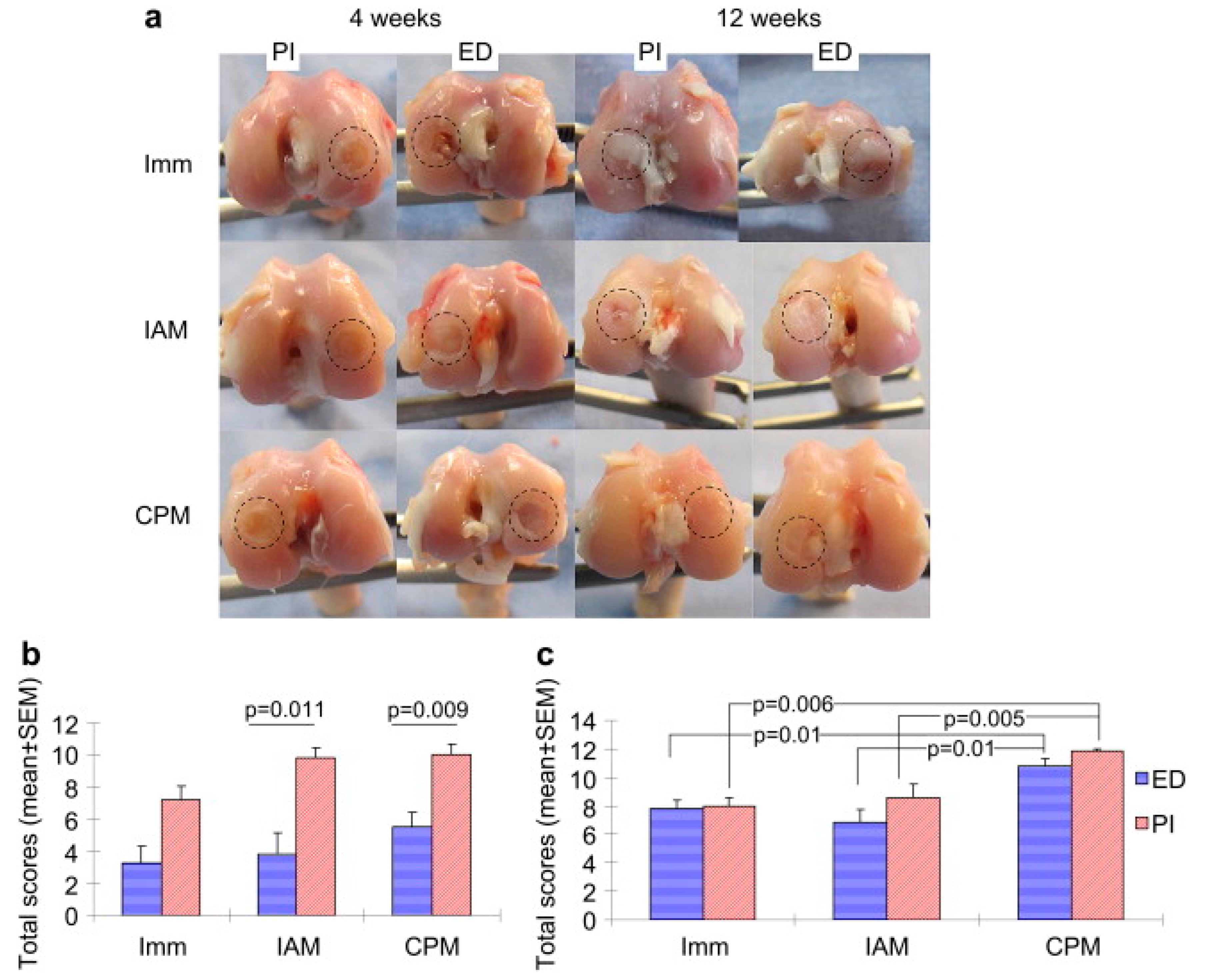 Pharmaceuticals 18 00631 g004