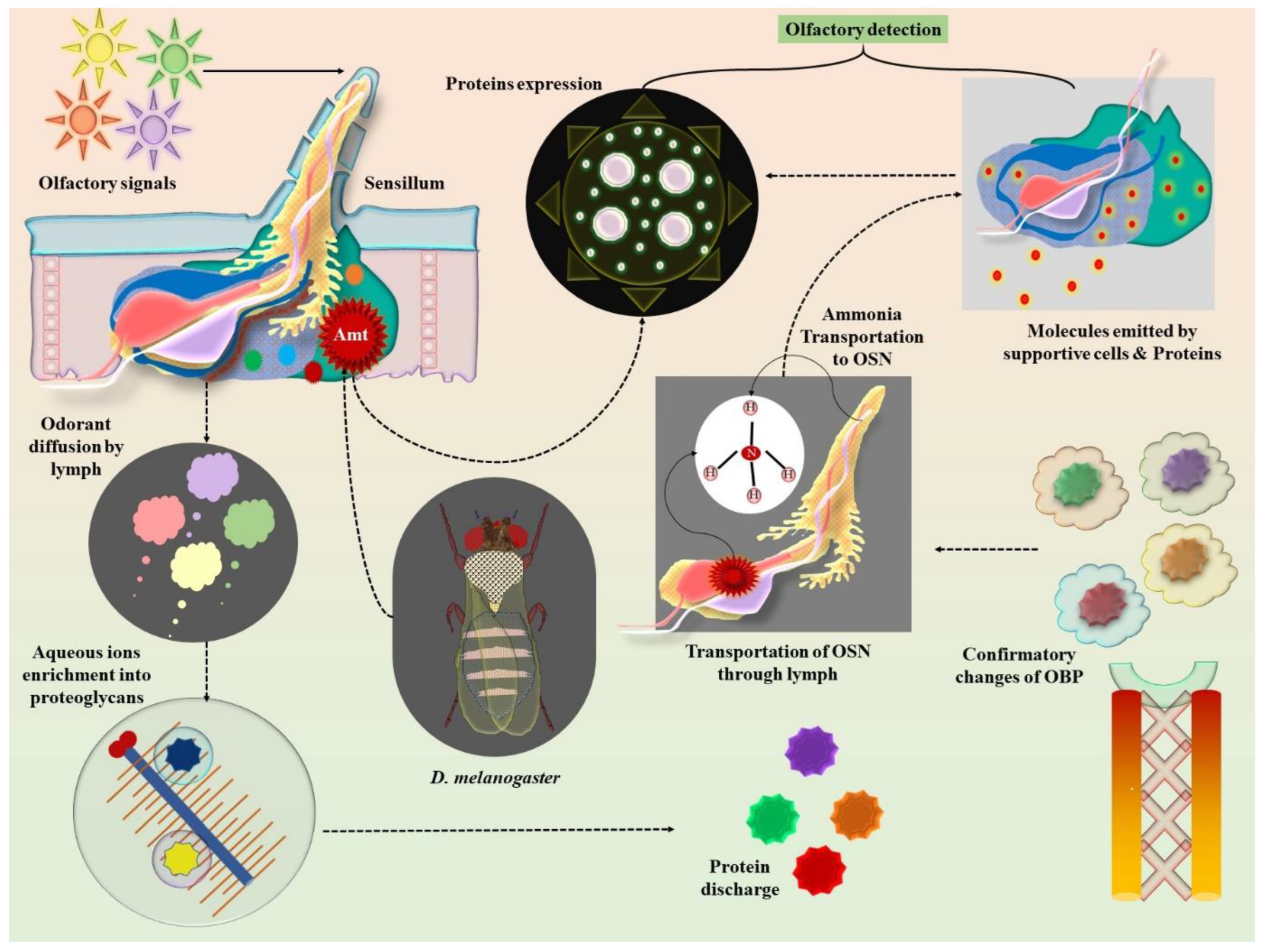 Pharmaceuticals 18 00638 g002