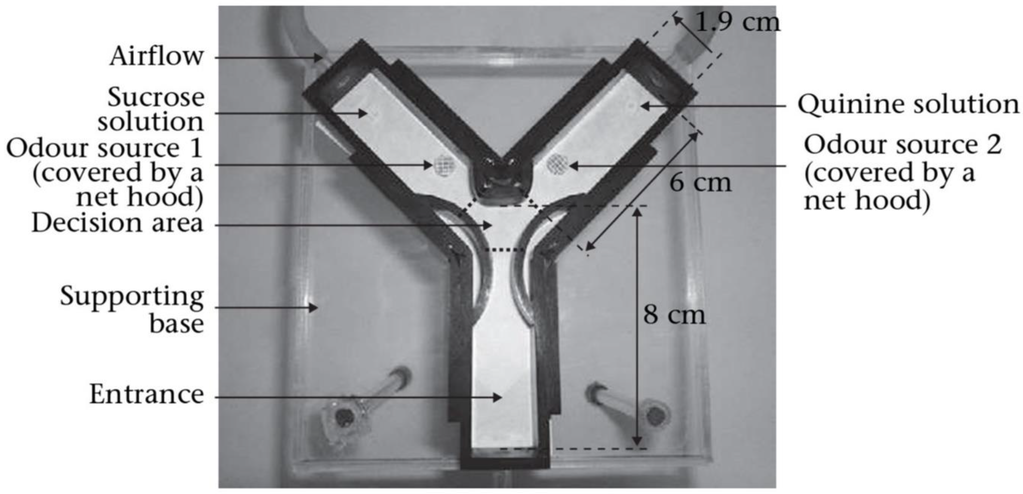 Pharmaceuticals 18 00638 g004