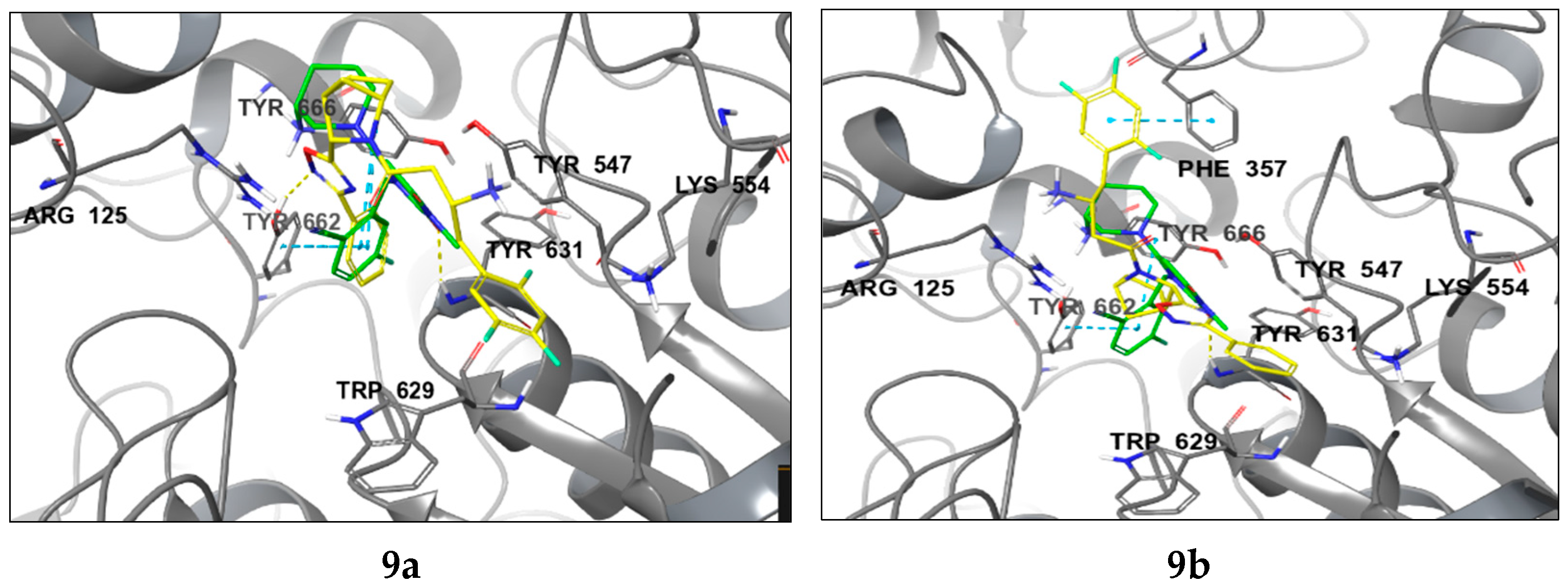 Pharmaceuticals 18 00642 g004b