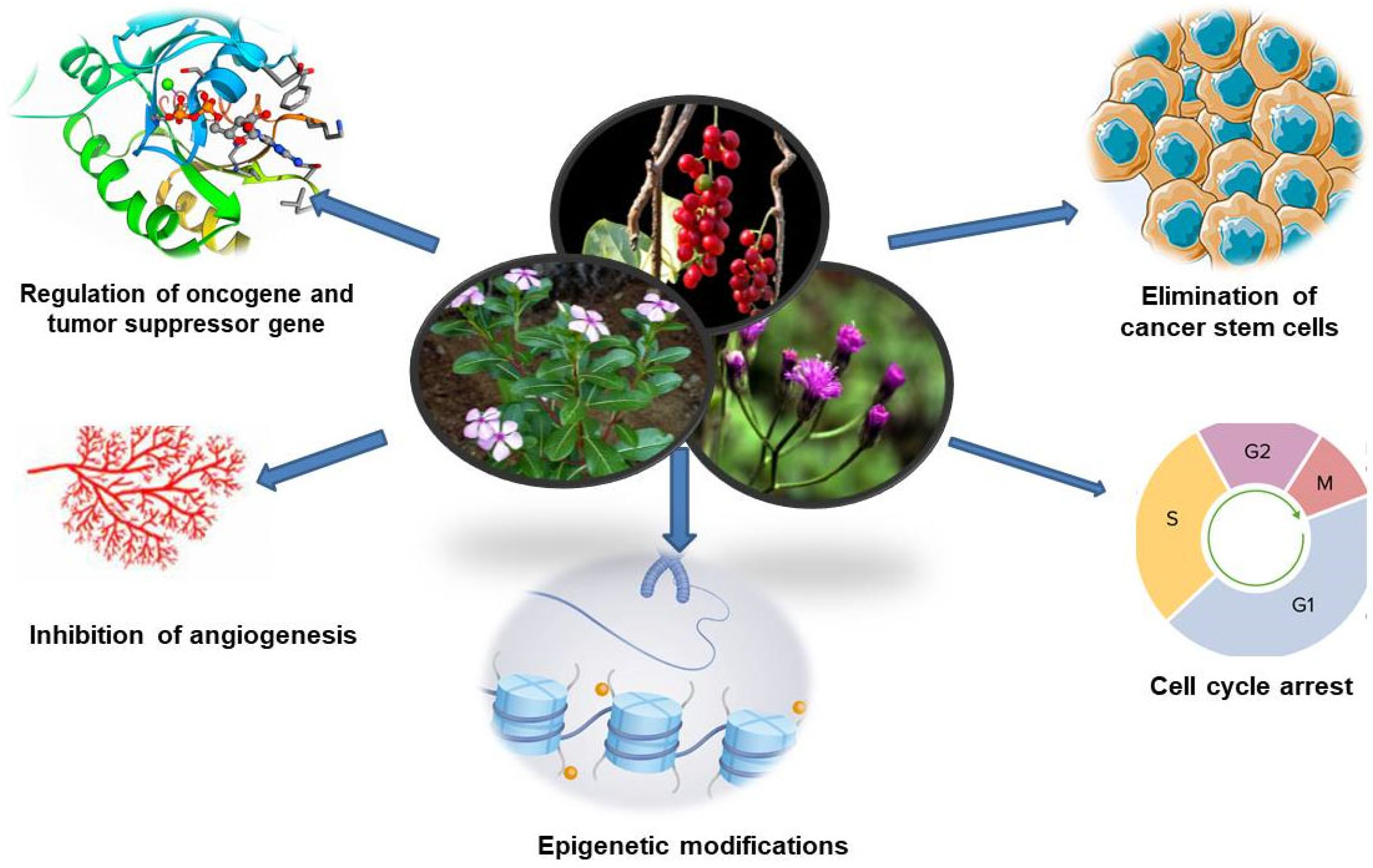 Pharmaceuticals 18 00644 g001