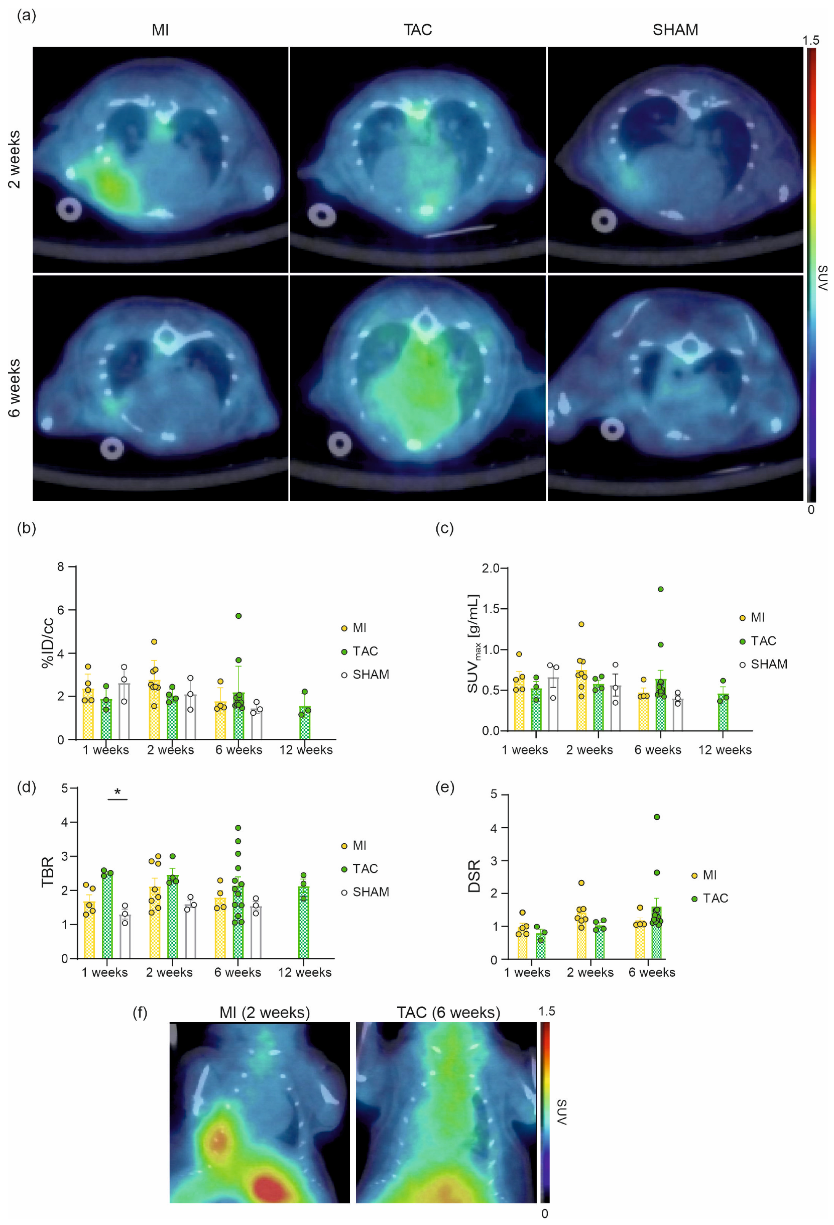 Pharmaceuticals 18 00658 g001