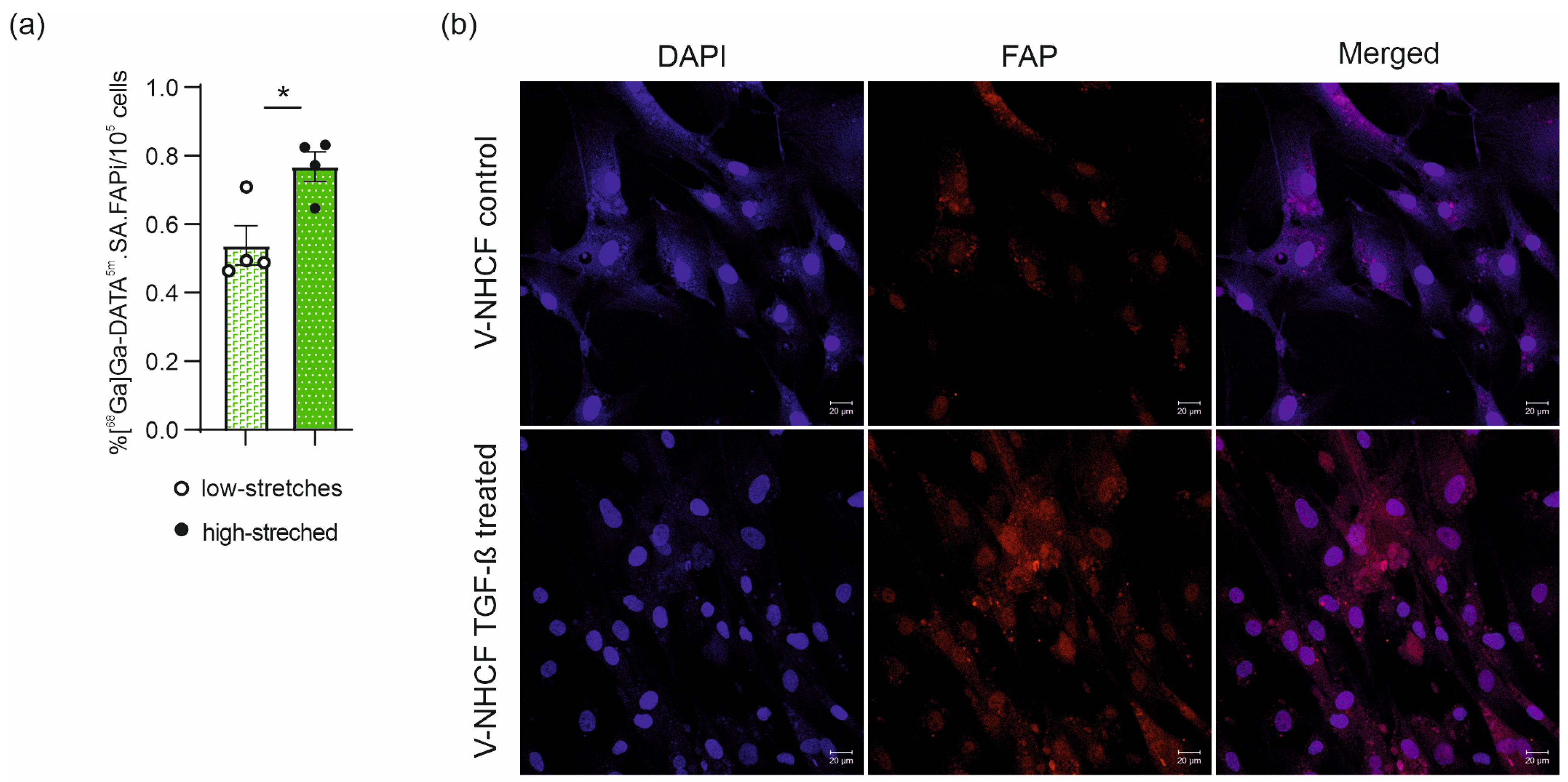 Pharmaceuticals 18 00658 g005