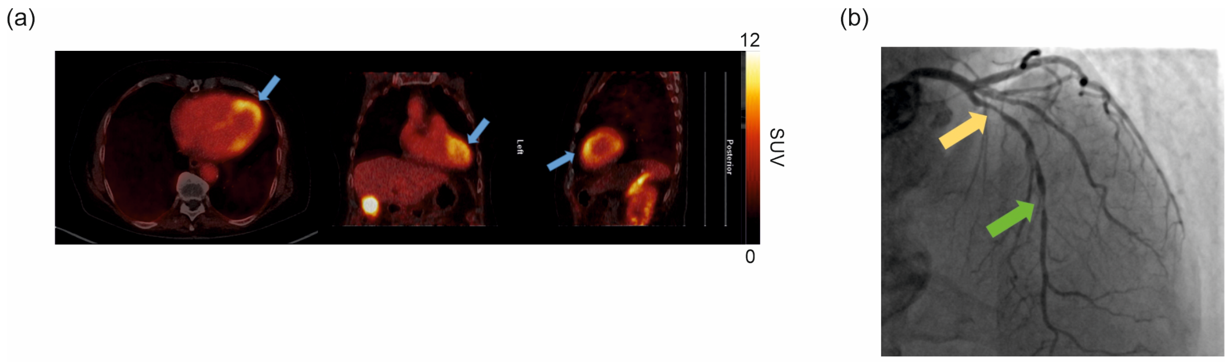 Pharmaceuticals 18 00658 g006